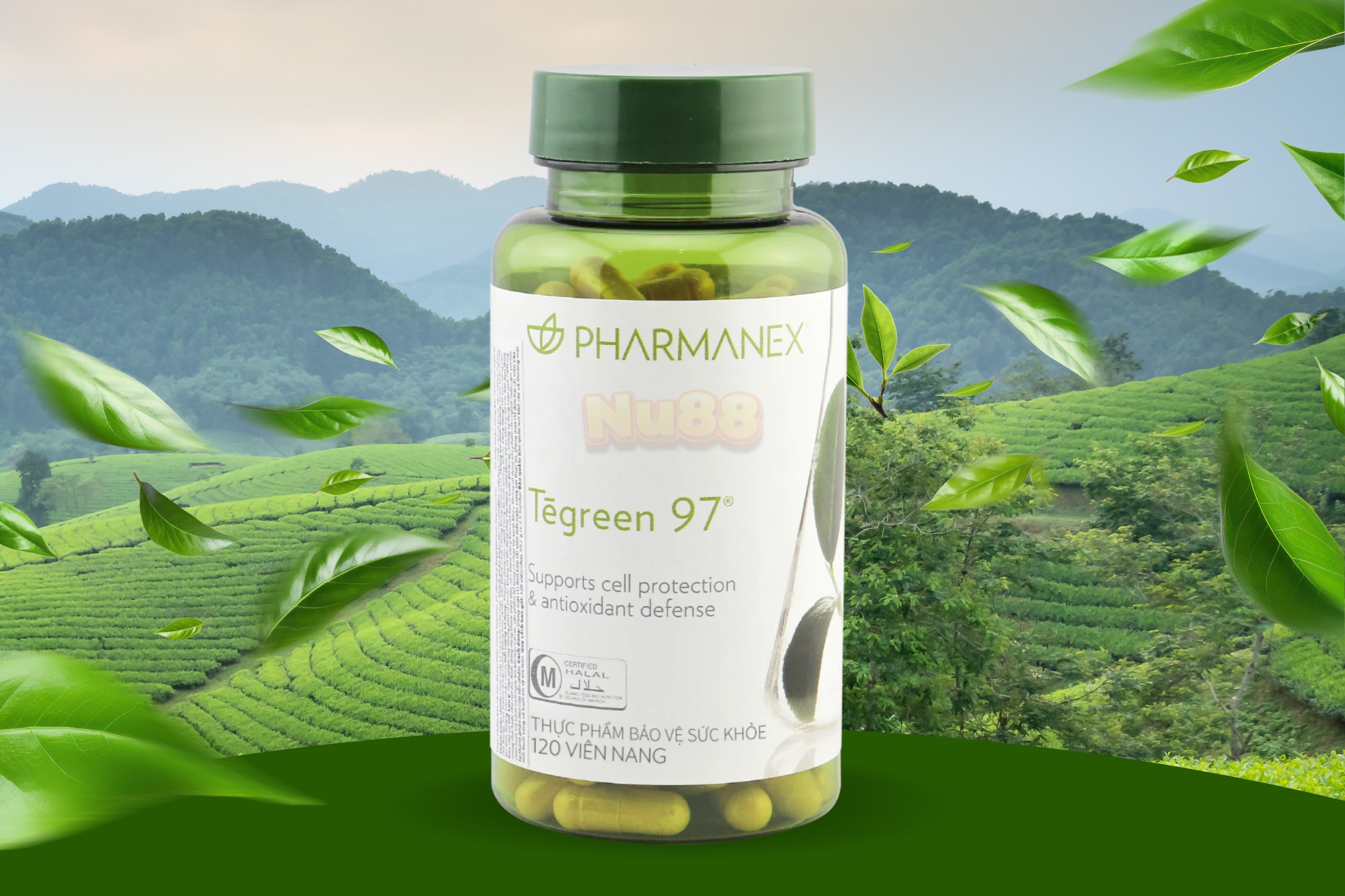 Tegreen 97 Nuskin
