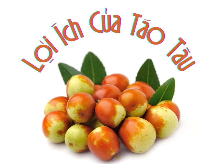 Quả táo tàu là gì? Dinh dưỡng, lợi ích và cách sử dụng