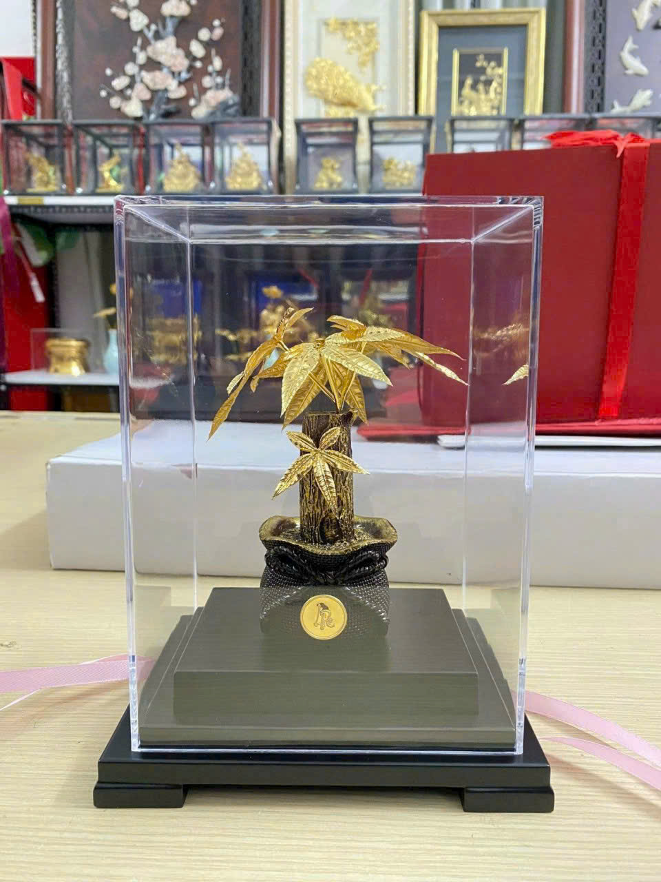 Cây kim tiền mạ vàng 24k ( KT 17x14x22cm ) DxRxC