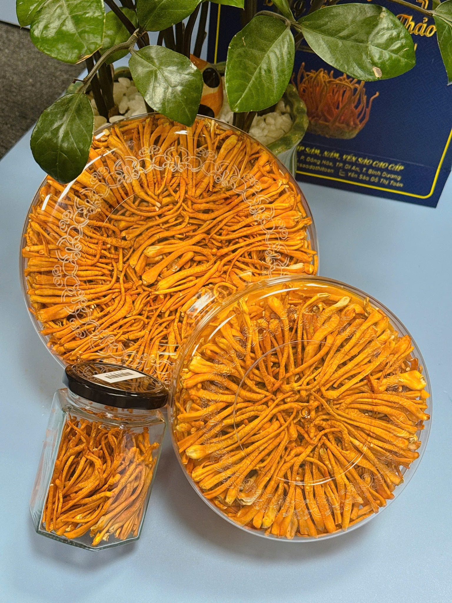 Cách dùng nấm đông trùng hạ thảo: Pha nước, ngâm rượu, mật ong, chưng với yến