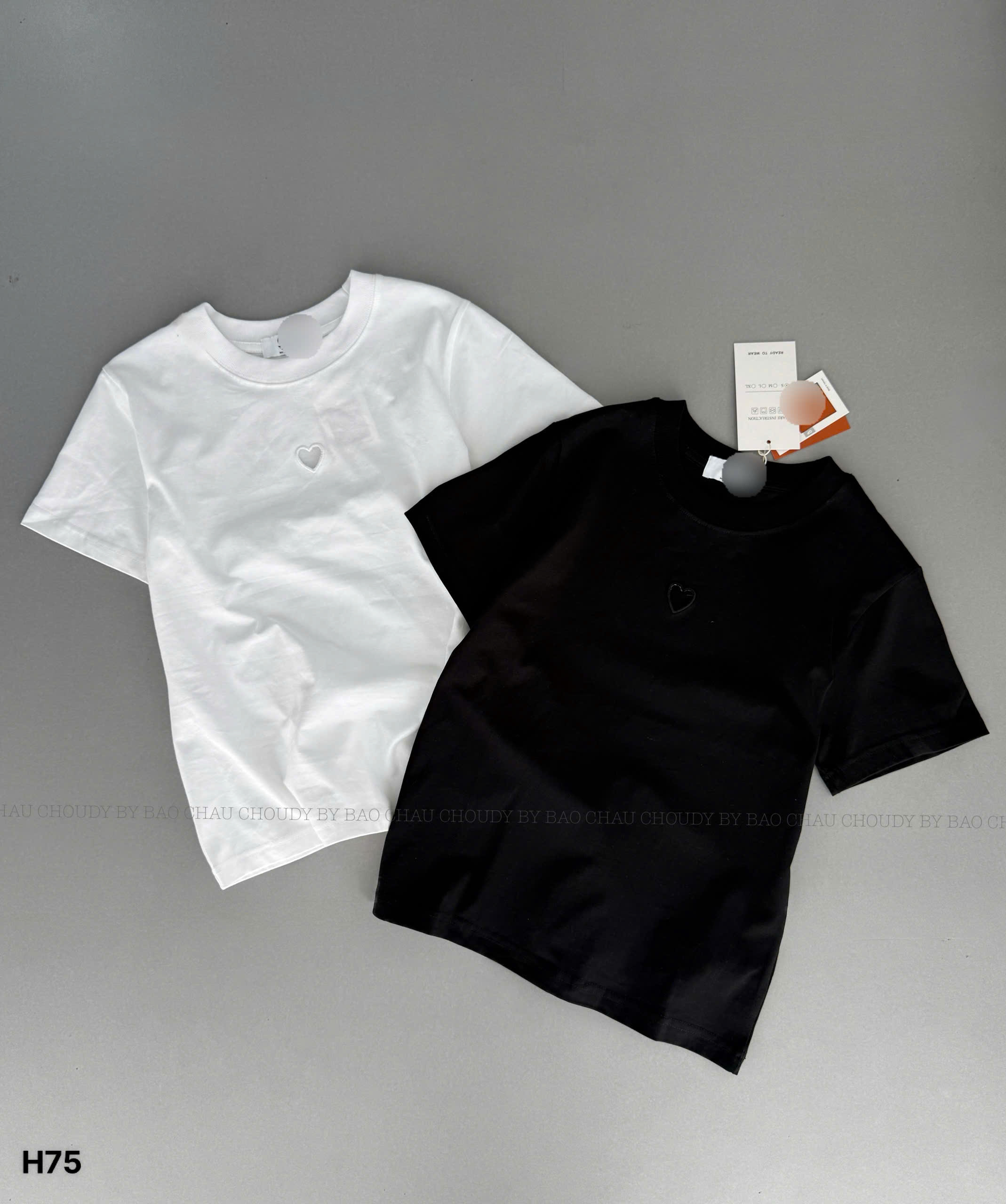H75 ÁO THUN 2 MÀU_thumbnail_1
