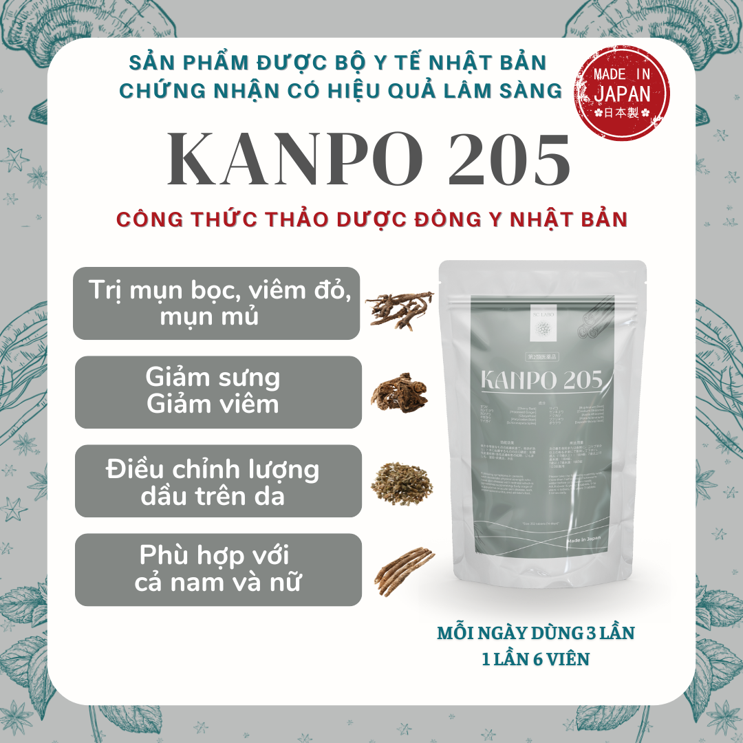 Kanpo 205 - Thập Vị Bại Độc Thang