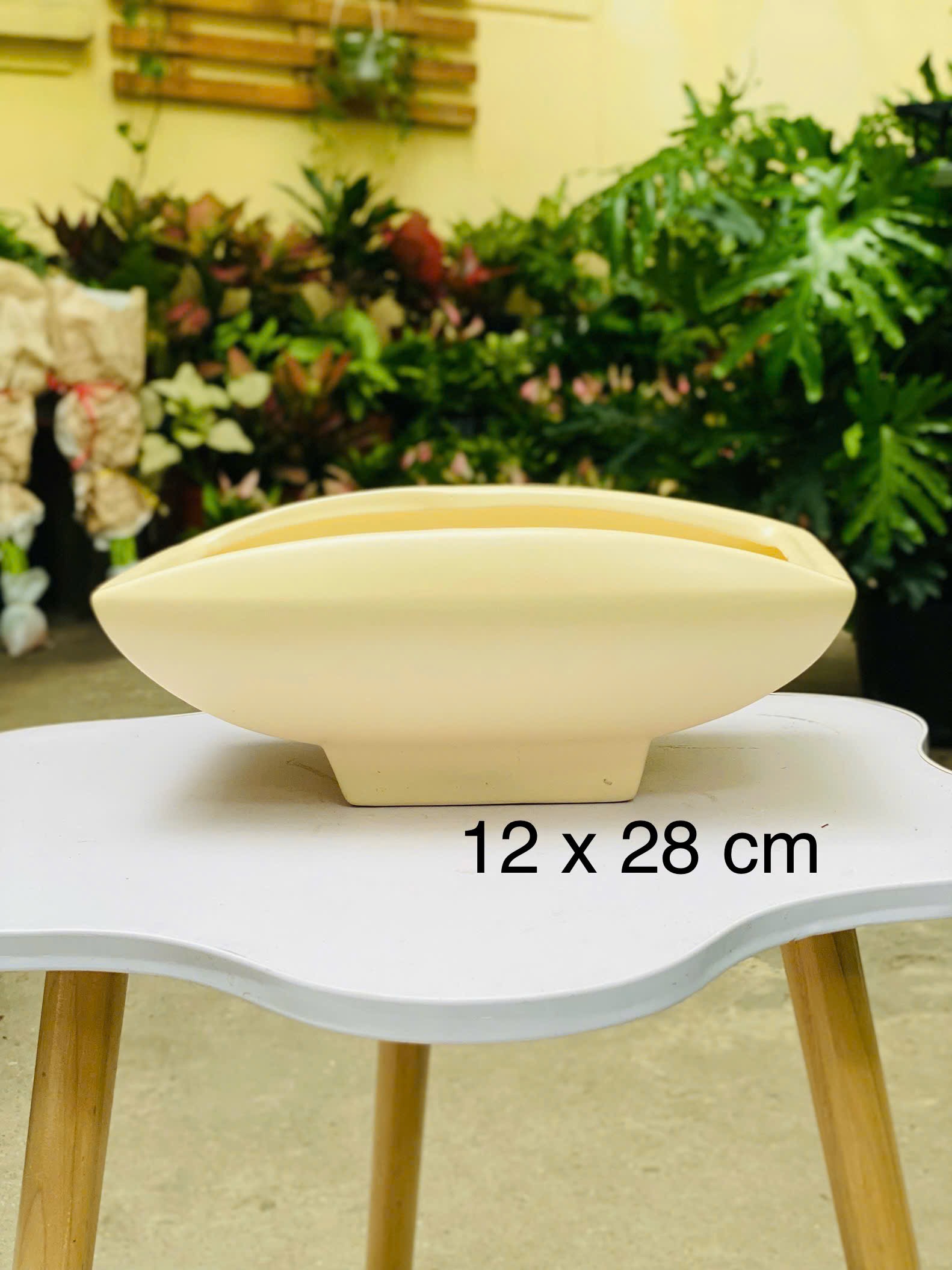 CHẬU CAO CẤP 2_thumbnail_3