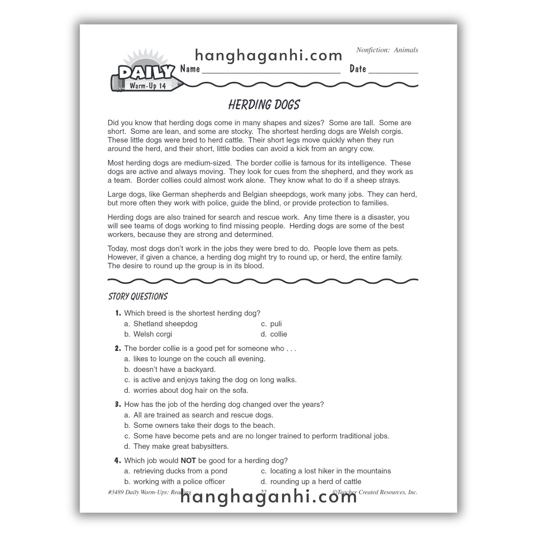 Sách Daily Warm Ups Reading Grade 3_thumbnail_16