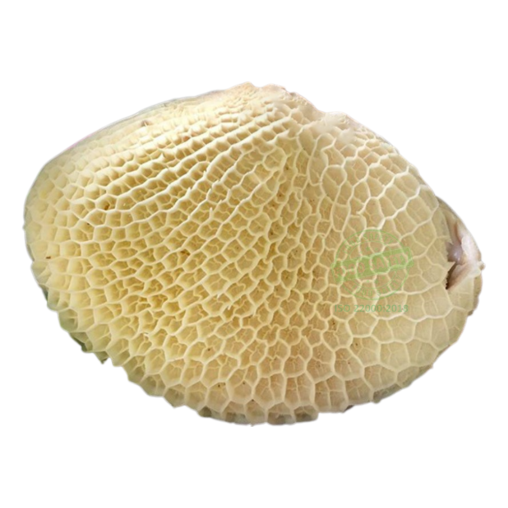 Beef Honeycomb Tripe