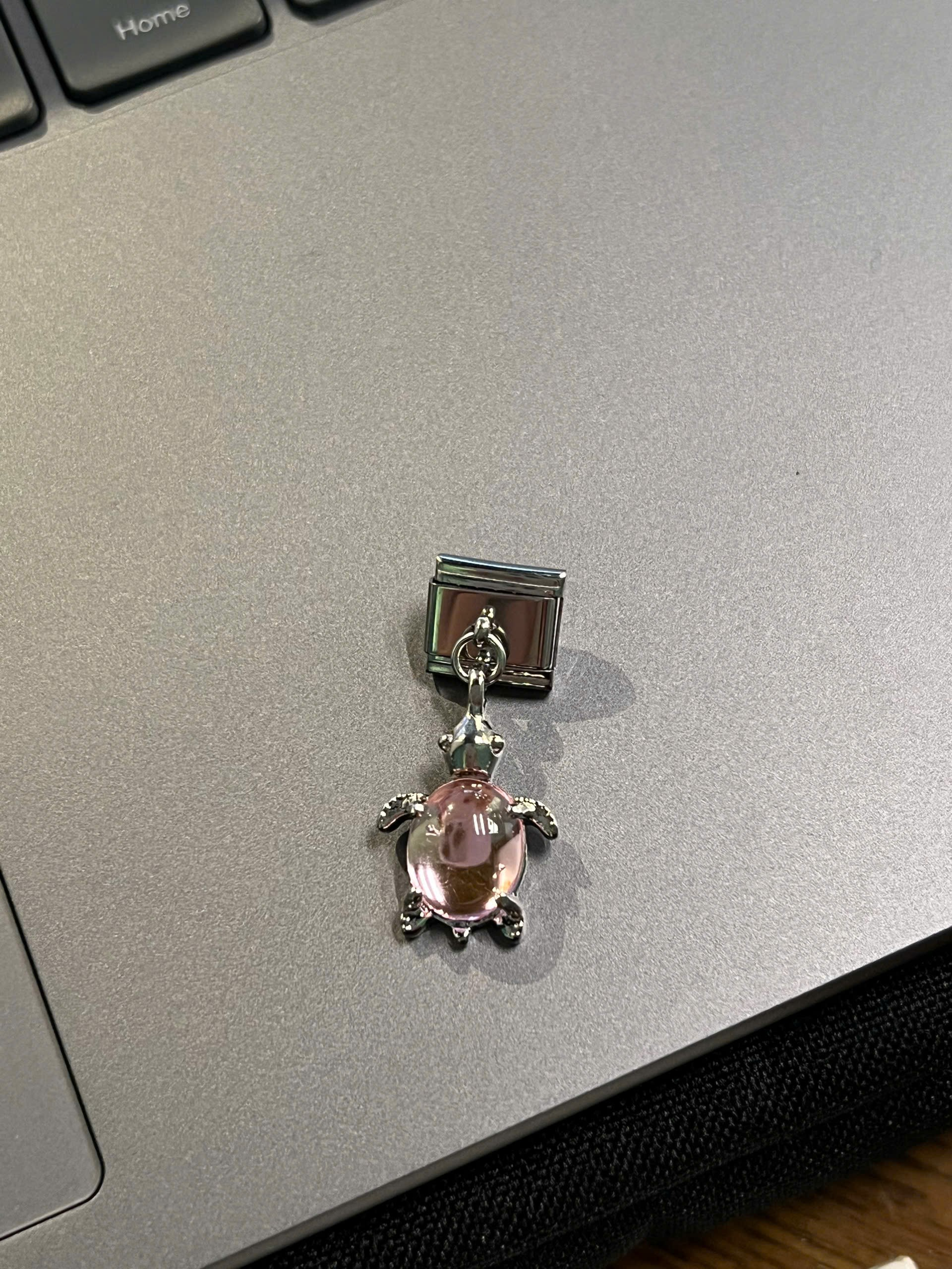 Lủng lẳng Rùa hồng