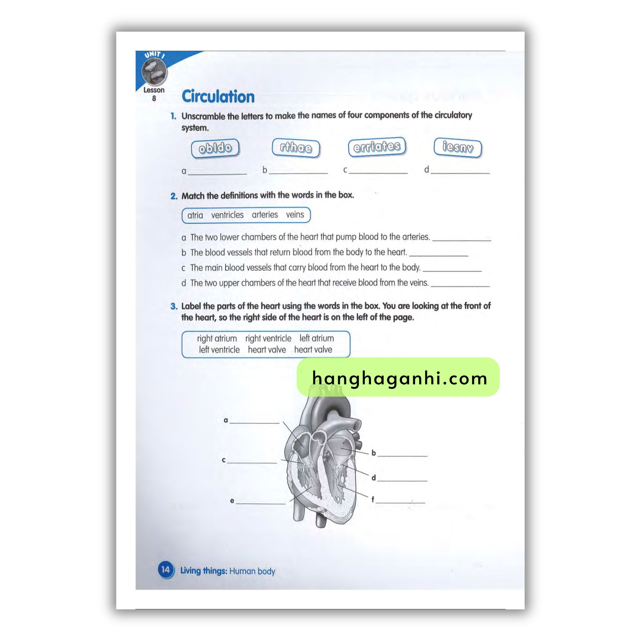 Macmillan Science 6 Workbook_thumbnail_15