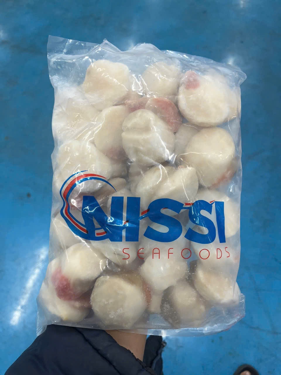 CỒI SÒ ĐIỆP CHÂU ÂU NISSI - CAO CẤP