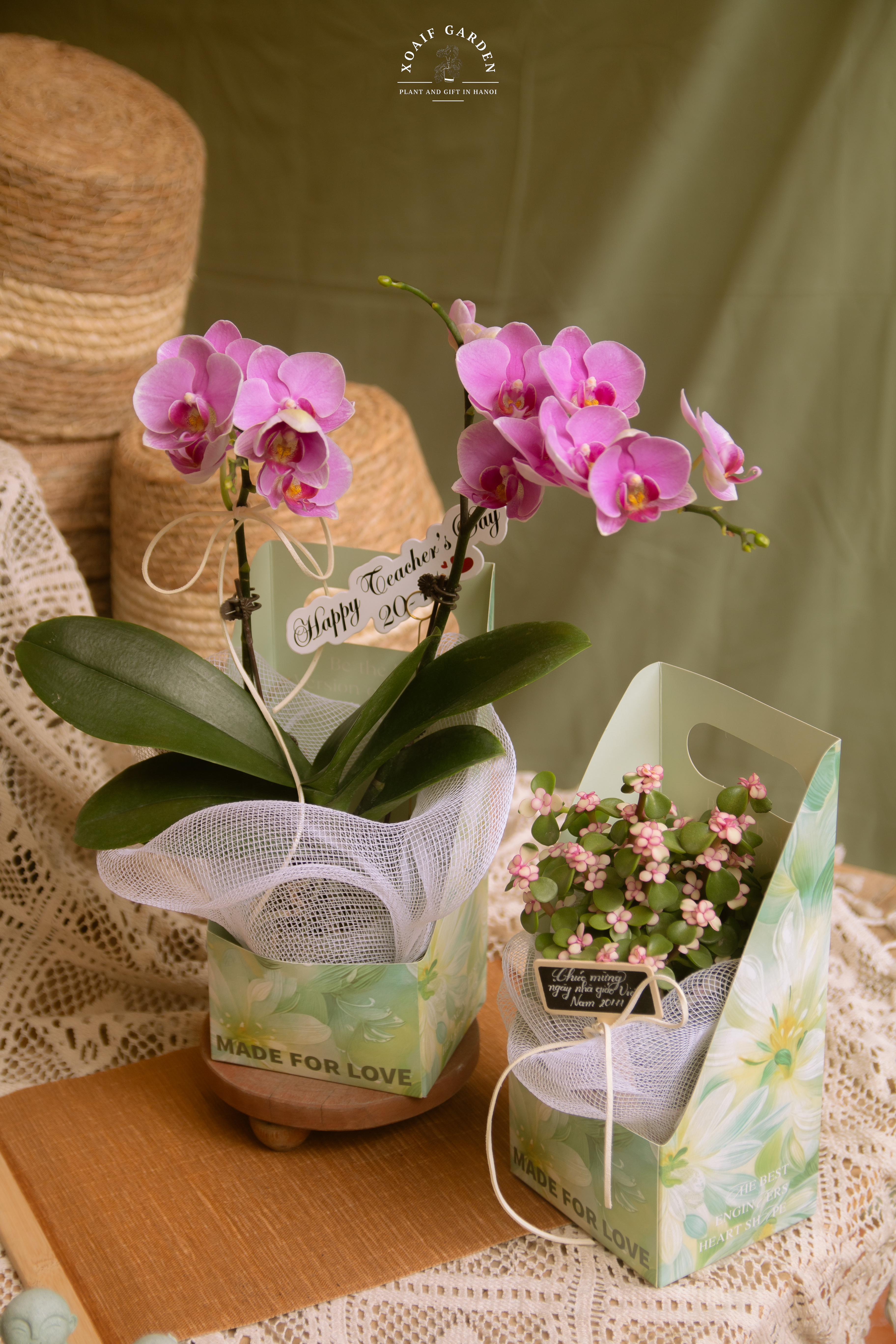 SET QUÀ TẶNG LAN HỒ ĐIỆP HỘP