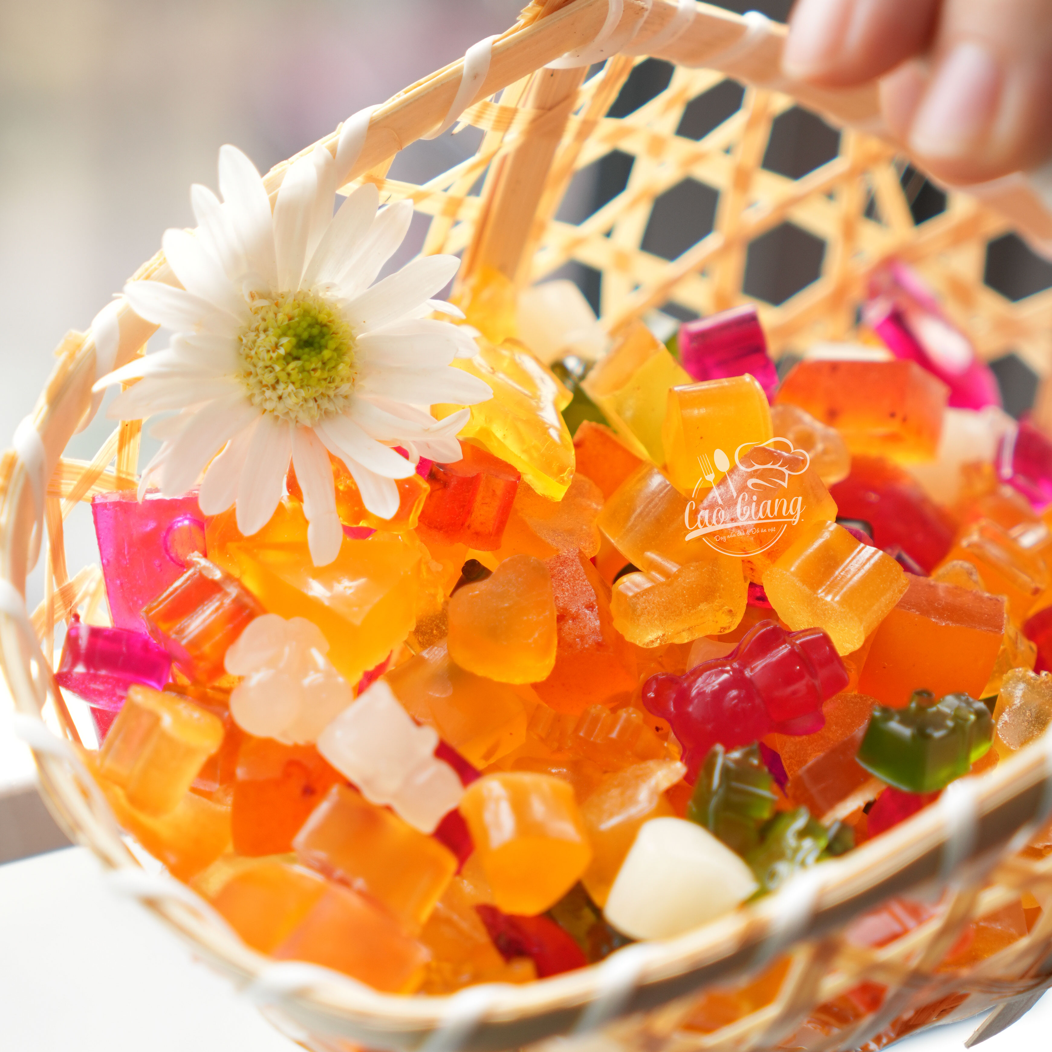 Lớp Kẹo Chíp Chíp_thumbnail_2