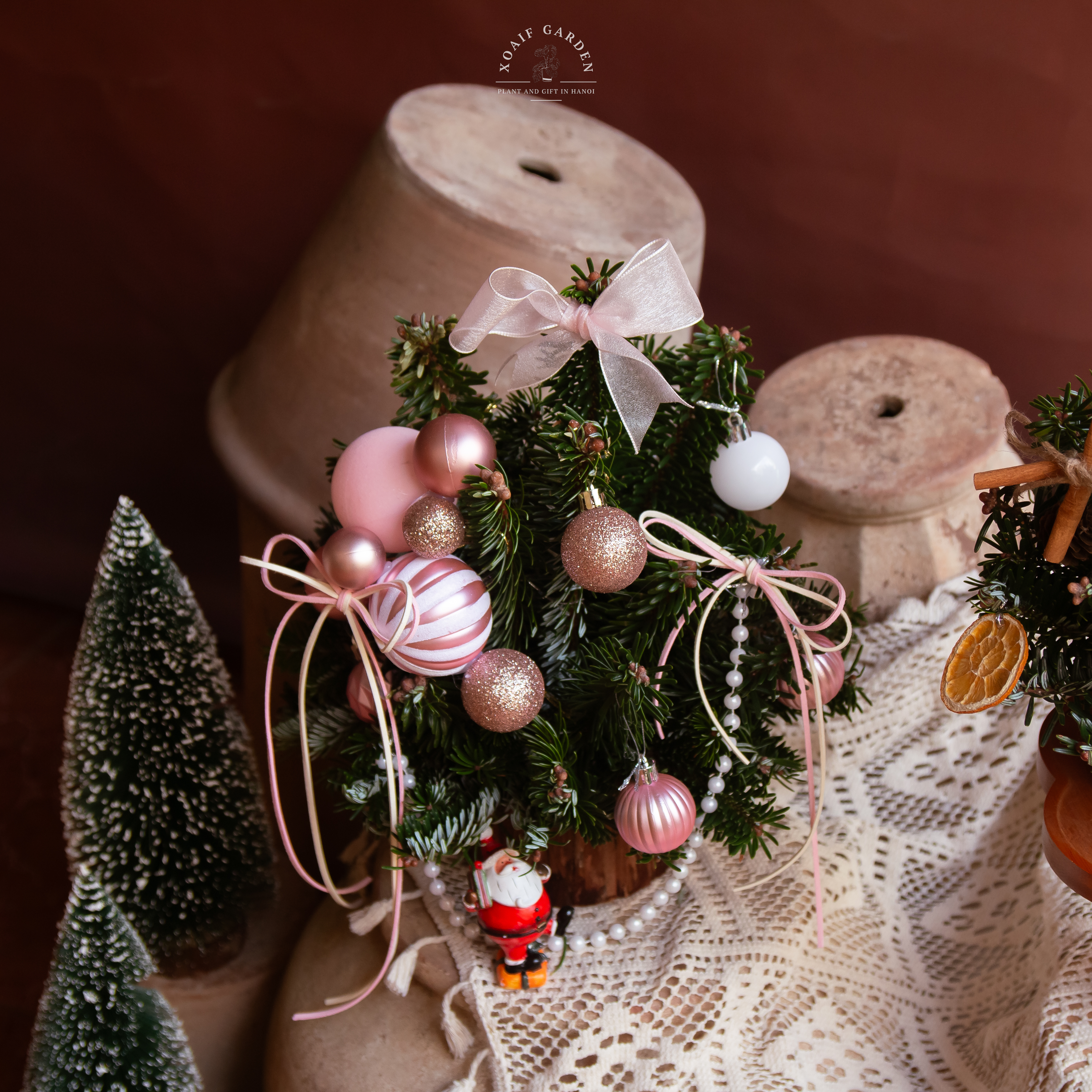 SET THÔNG TƯƠI_thumbnail_7