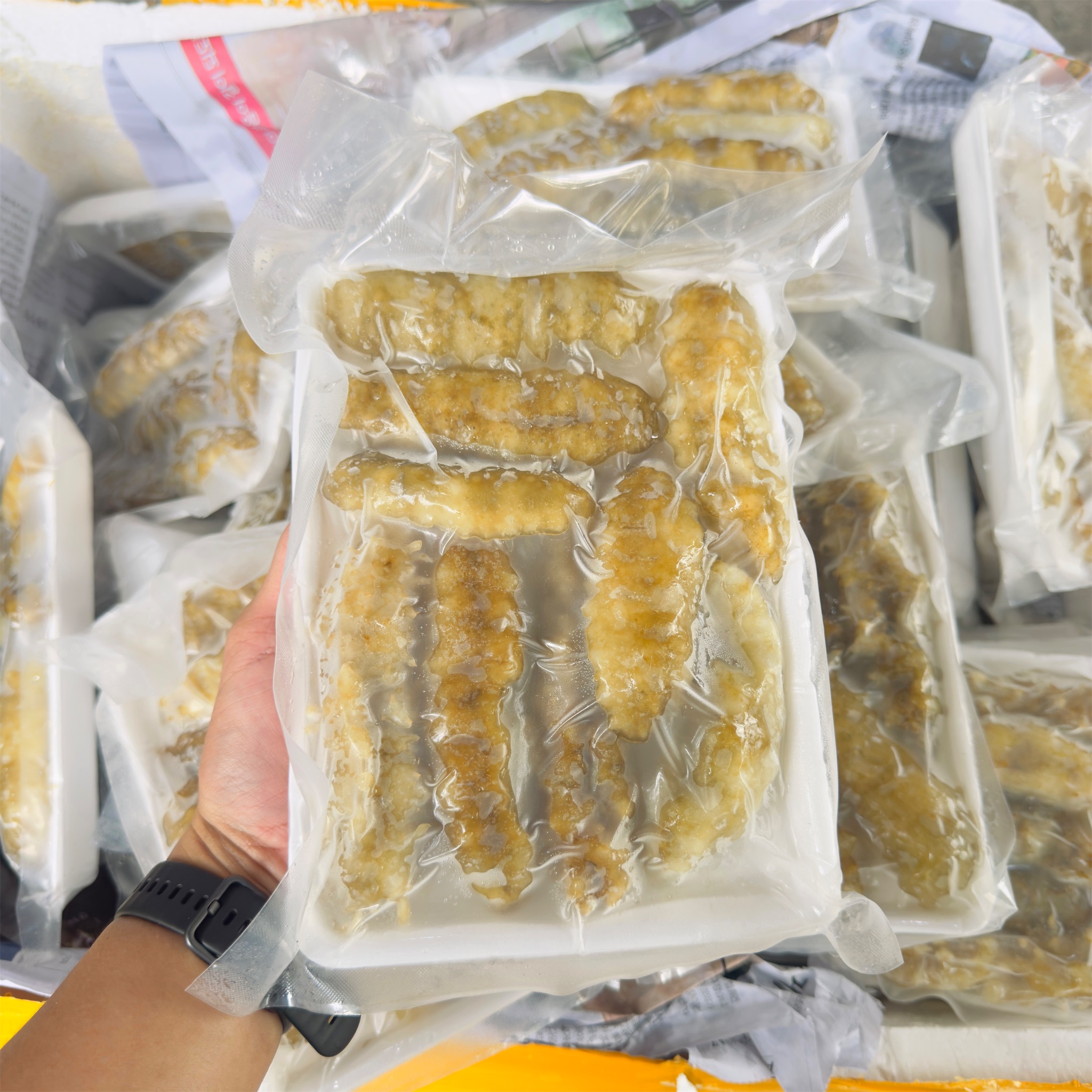 Hải Sâm Gai Vàng_thumbnail_0