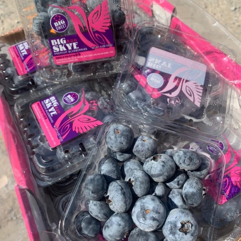 Việt Quất Peru Size Jumbo (Big Skye)_thumbnail_2