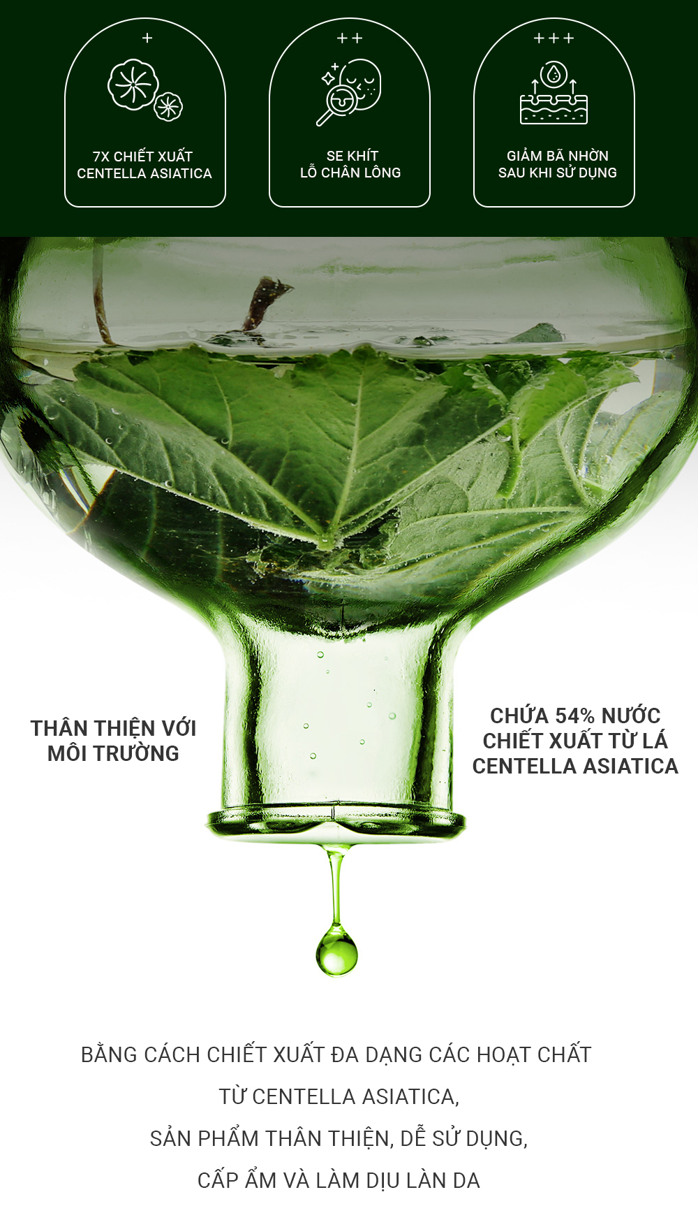 Tinh chất dưỡng da, kiểm soát bã nhờn Elravie HyCicaMue Ampoule 50ml_thumbnail_3