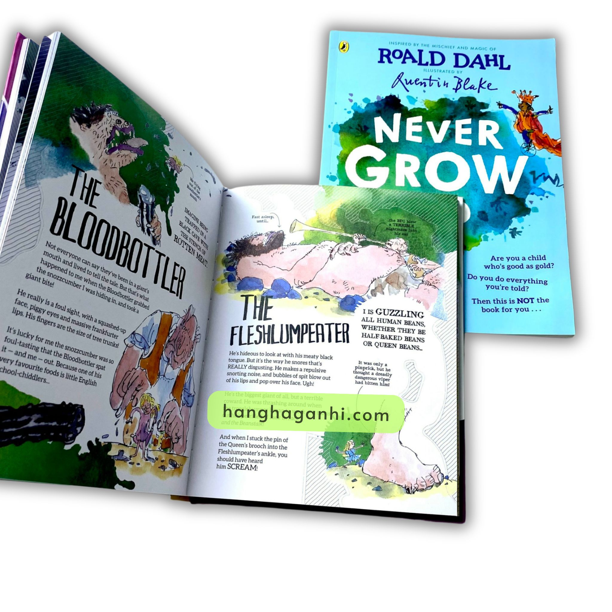 Roald Dahl's 2 books Bundle Beastly Brutes & Heroic Human Beans & Never Grow Up_thumbnail_9
