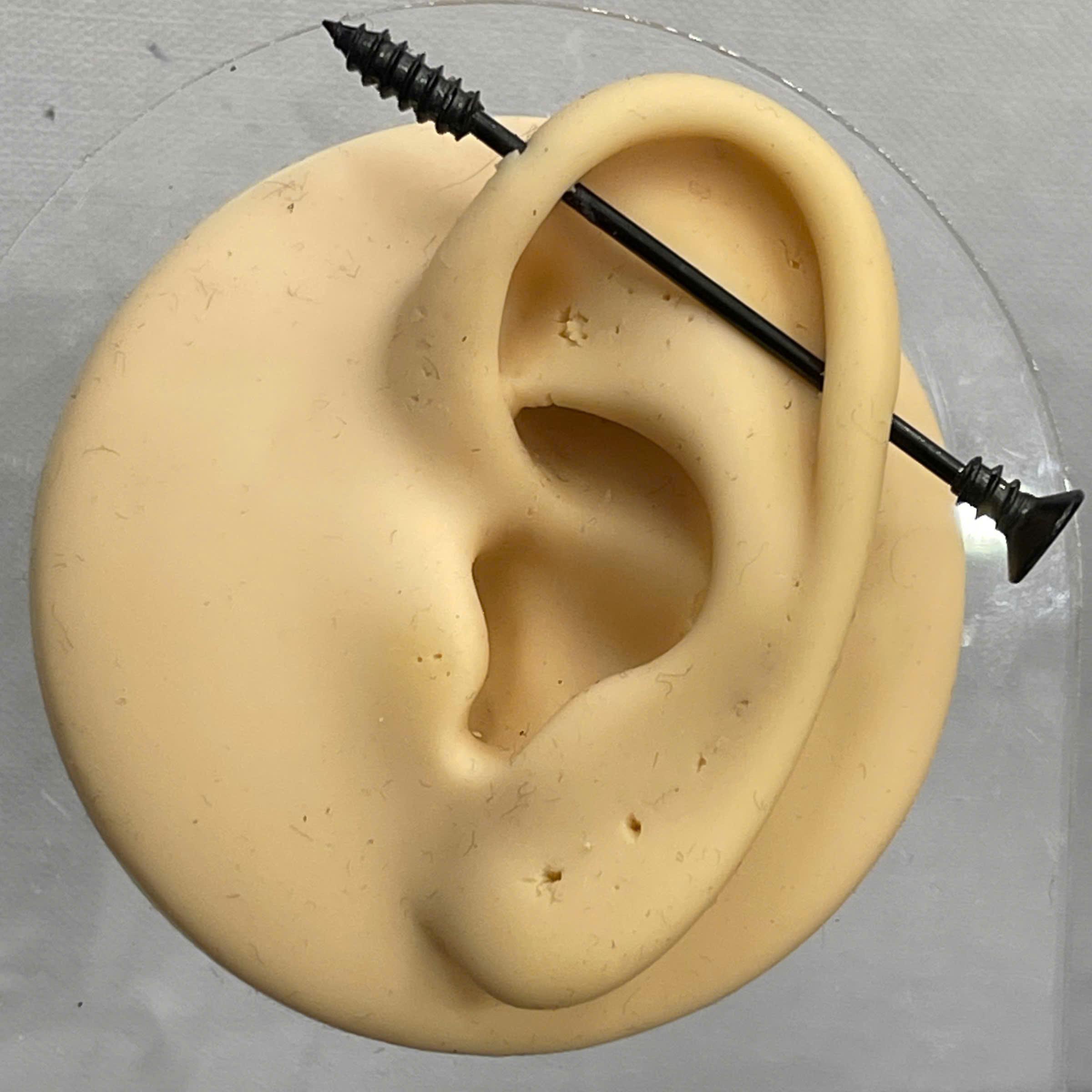 Indus kiểu cây đinh đen._thumbnail_3