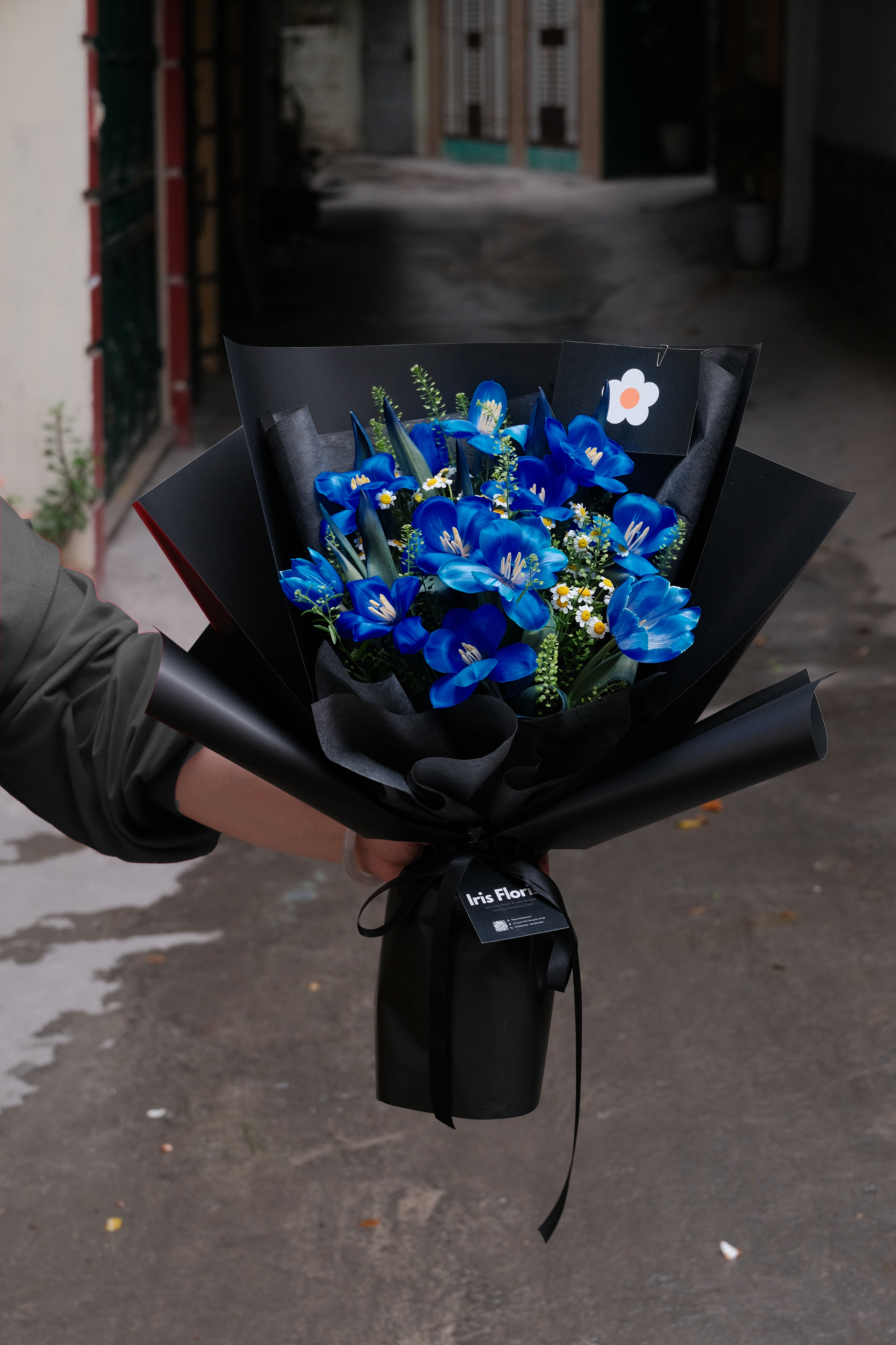 Bó tulip xanh dương đậm (Dark Blue) - Set 12 bông