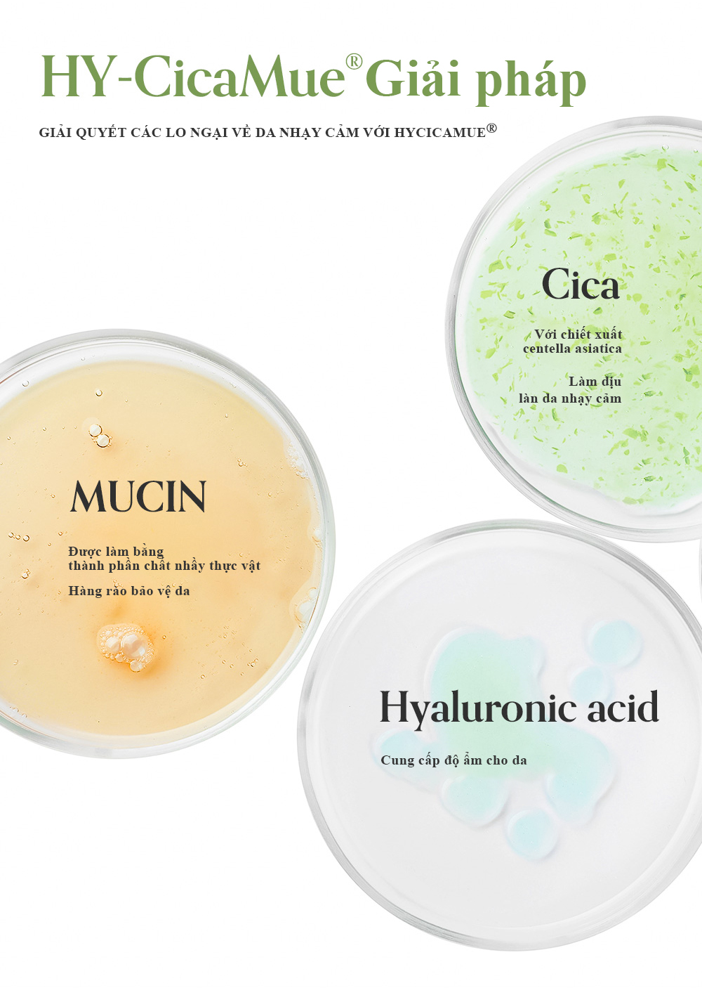 Kem dưỡng ẩm dạng Gel giúp làm dịu da Elravie HyCicaMue Cream 50ml_thumbnail_5