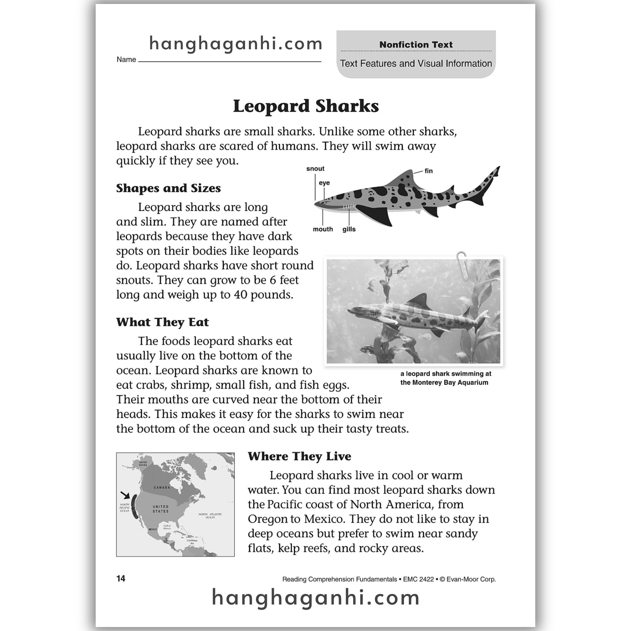 Reading Comprehension Fundamentals grade 2_thumbnail_9