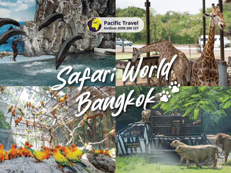 Thái Lan: Bangkok - Pattaya - Safari 5N4Đ_10