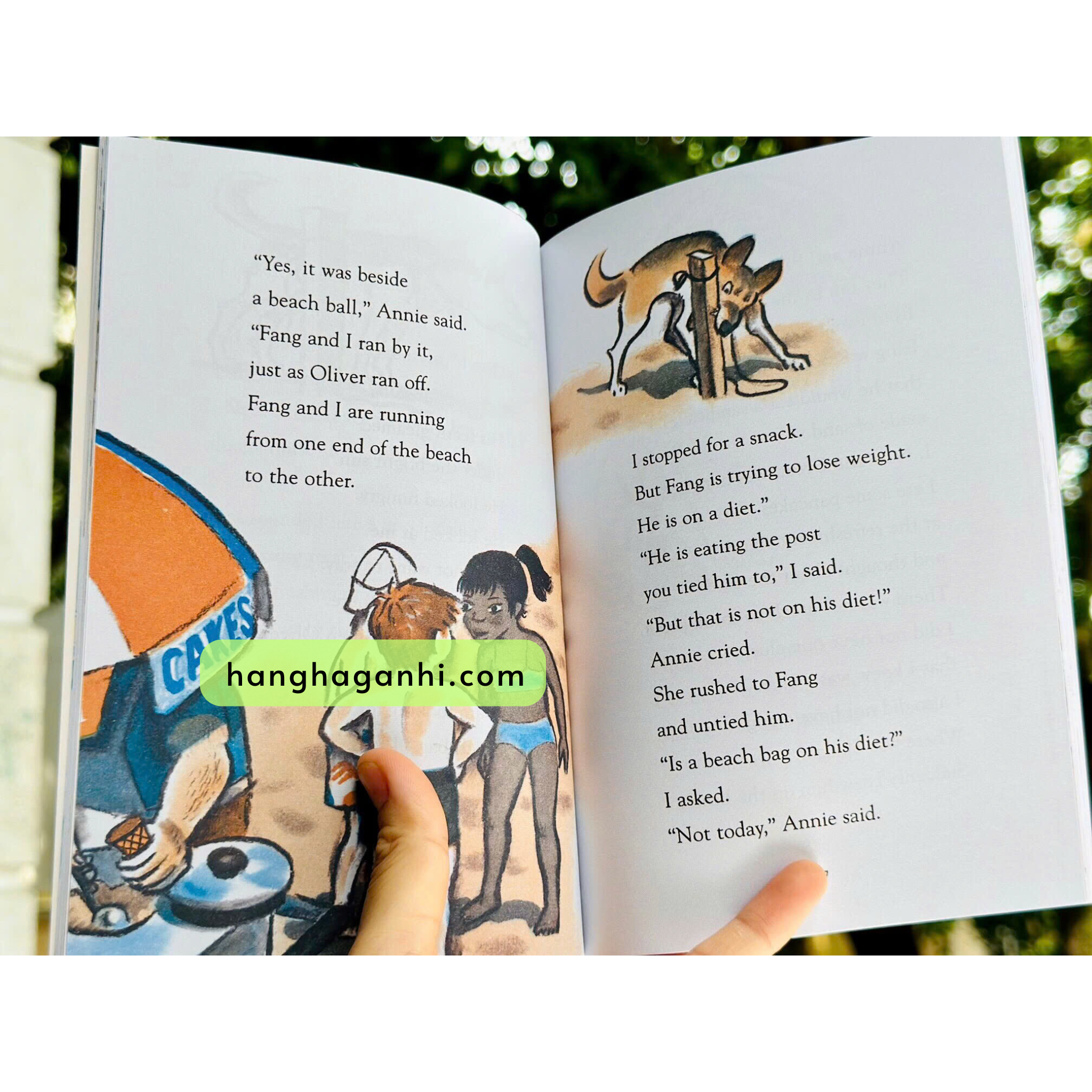 Bộ Nate the Great nhập khẩu 29 cuốn_thumbnail_9