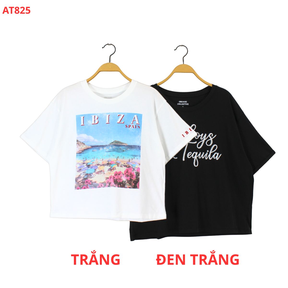 AT825- ÁO THUN CROP_thumbnail_5