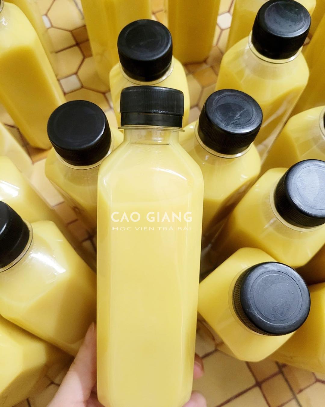 Lớp Sữa Ngô Nóng_thumbnail_5