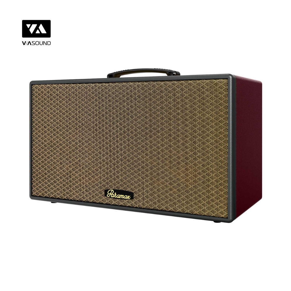 Loa Xách Tay PARAMAX AURA