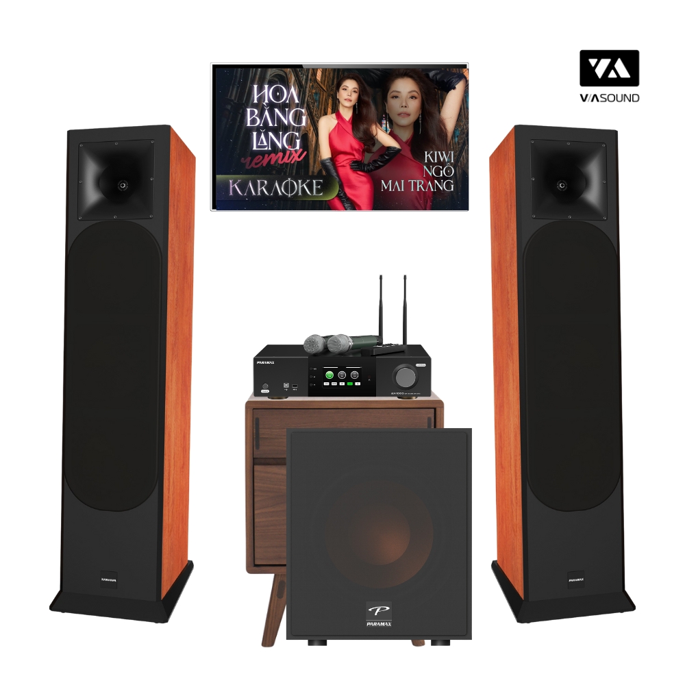 COMBO KARAOKE PARAMAX EURO 803 LIMITED - PARA 1