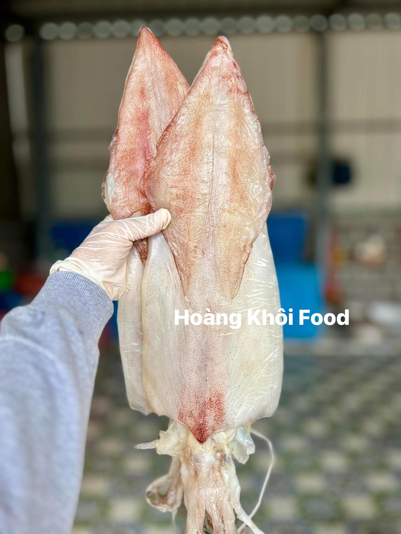 Mực 1 Nắng_thumbnail_0