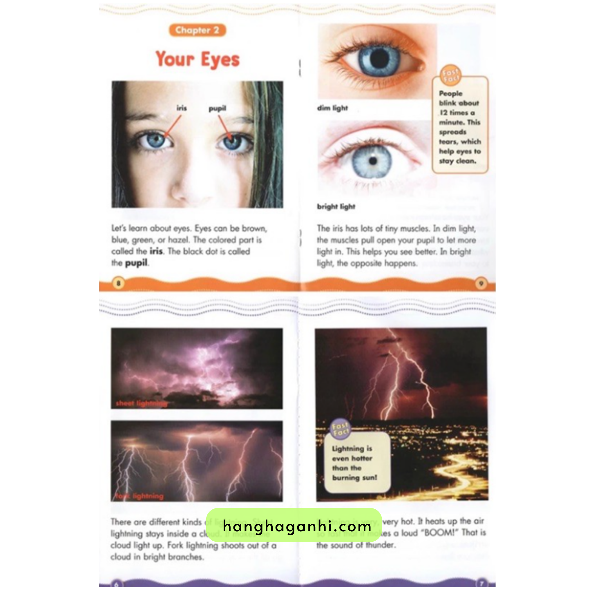 Science Vocabulary Readers - Bộ 34 cuốn sách Khoa học Tiếng Anh cho bé, nhập khẩu nguyên seal, có file nghe_thumbnail_7