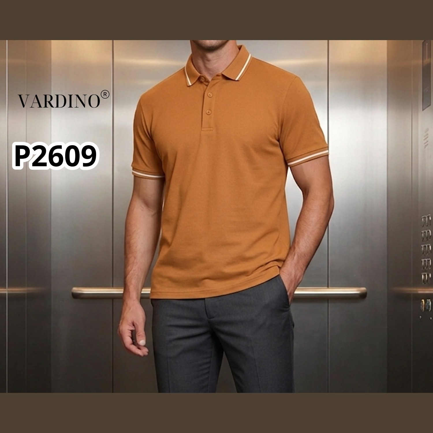 Áo polo nam Vardino P2609_thumbnail_3
