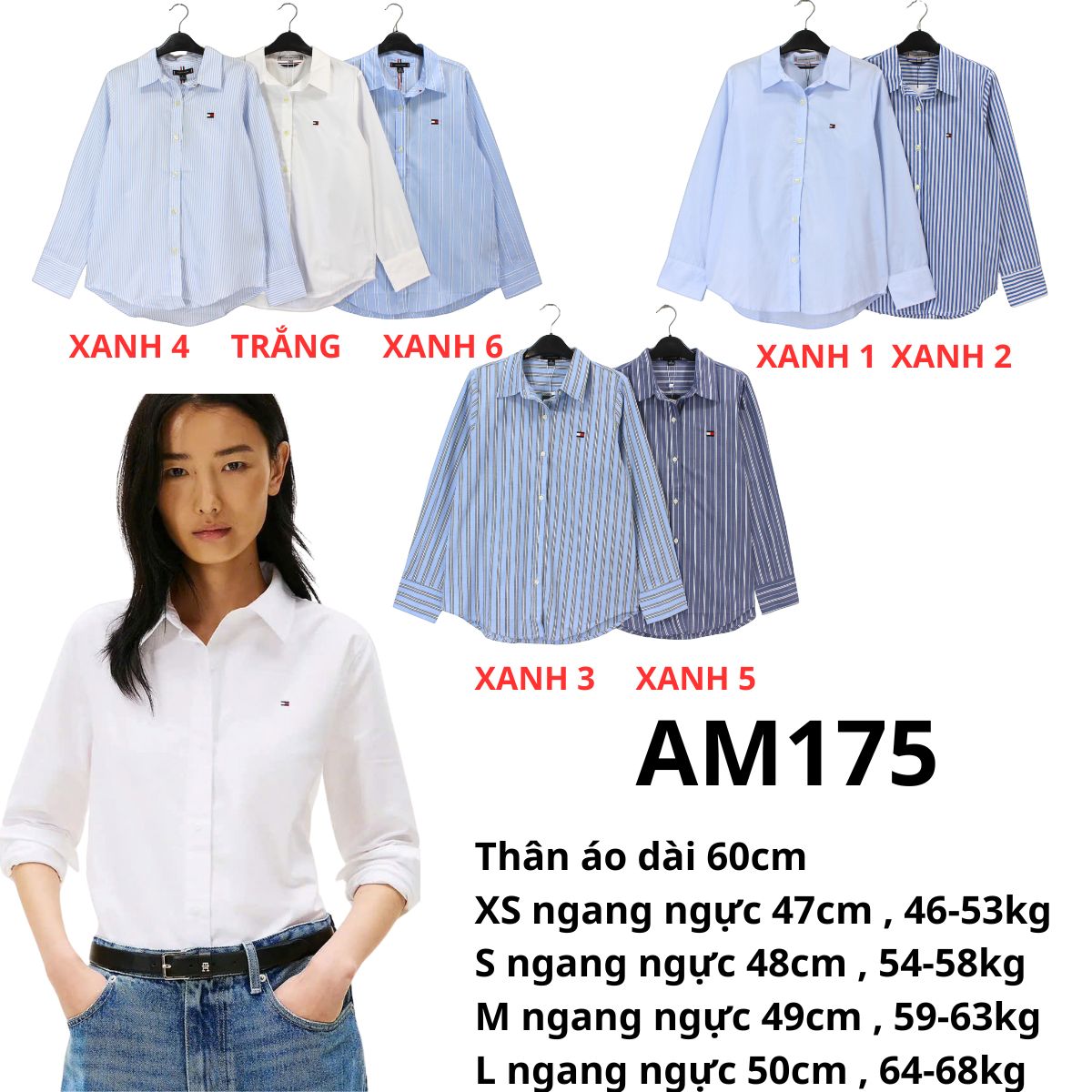 AM175 Áo sơ mi kate