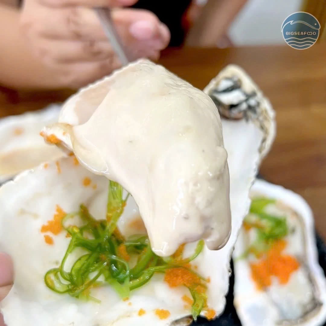 Hàu Nhật nửa mảnh_thumbnail_3