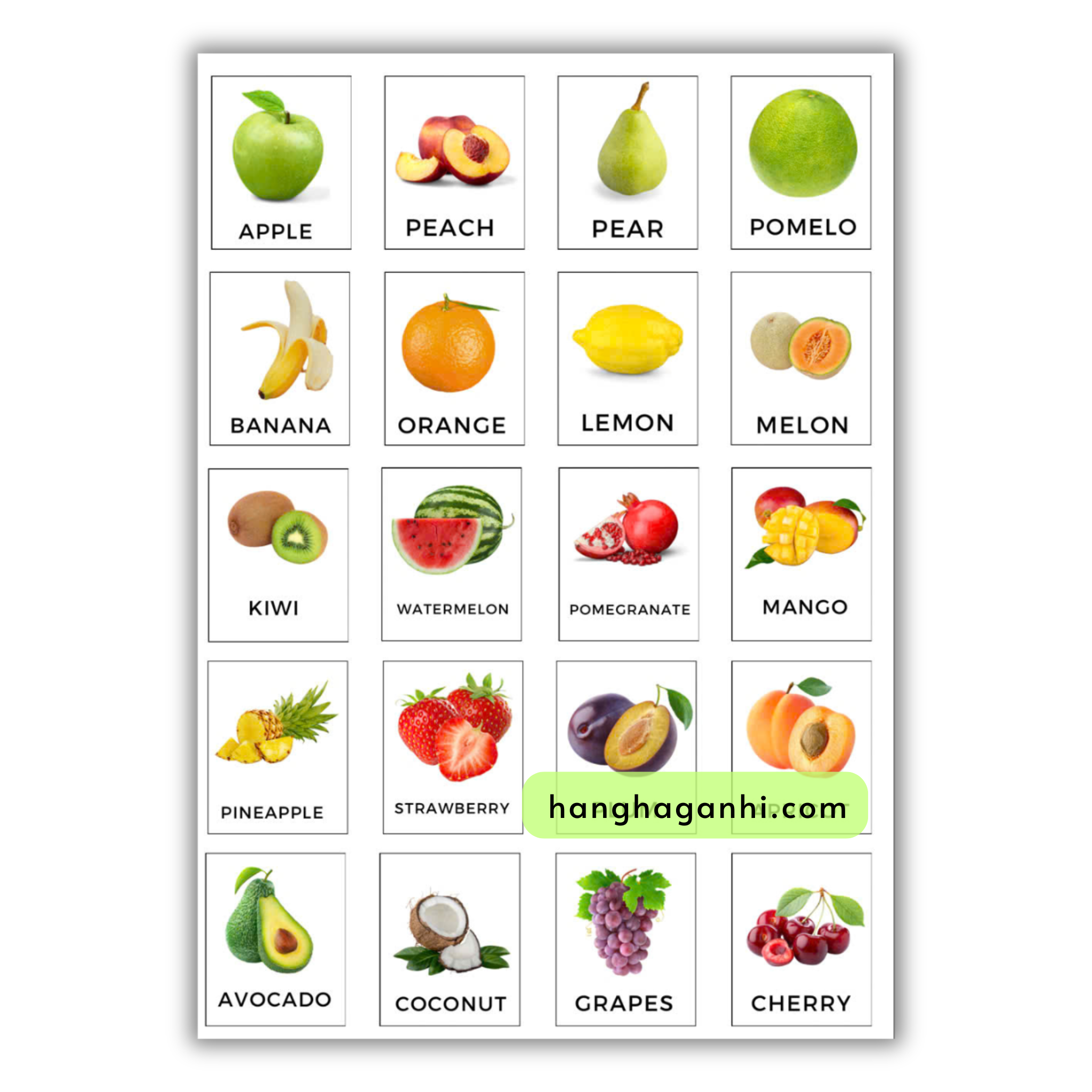 Bộ 13 tranh treo tường, 230 từ vựng Tiếng Anh_thumbnail_8