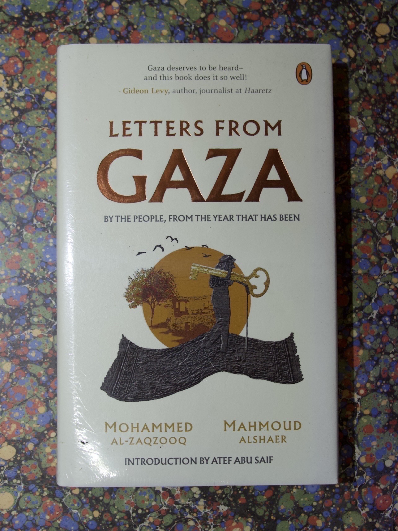 Letters from Gaza (Mohammed Al-Zaqzooq, Mahmoud Alshaer)
