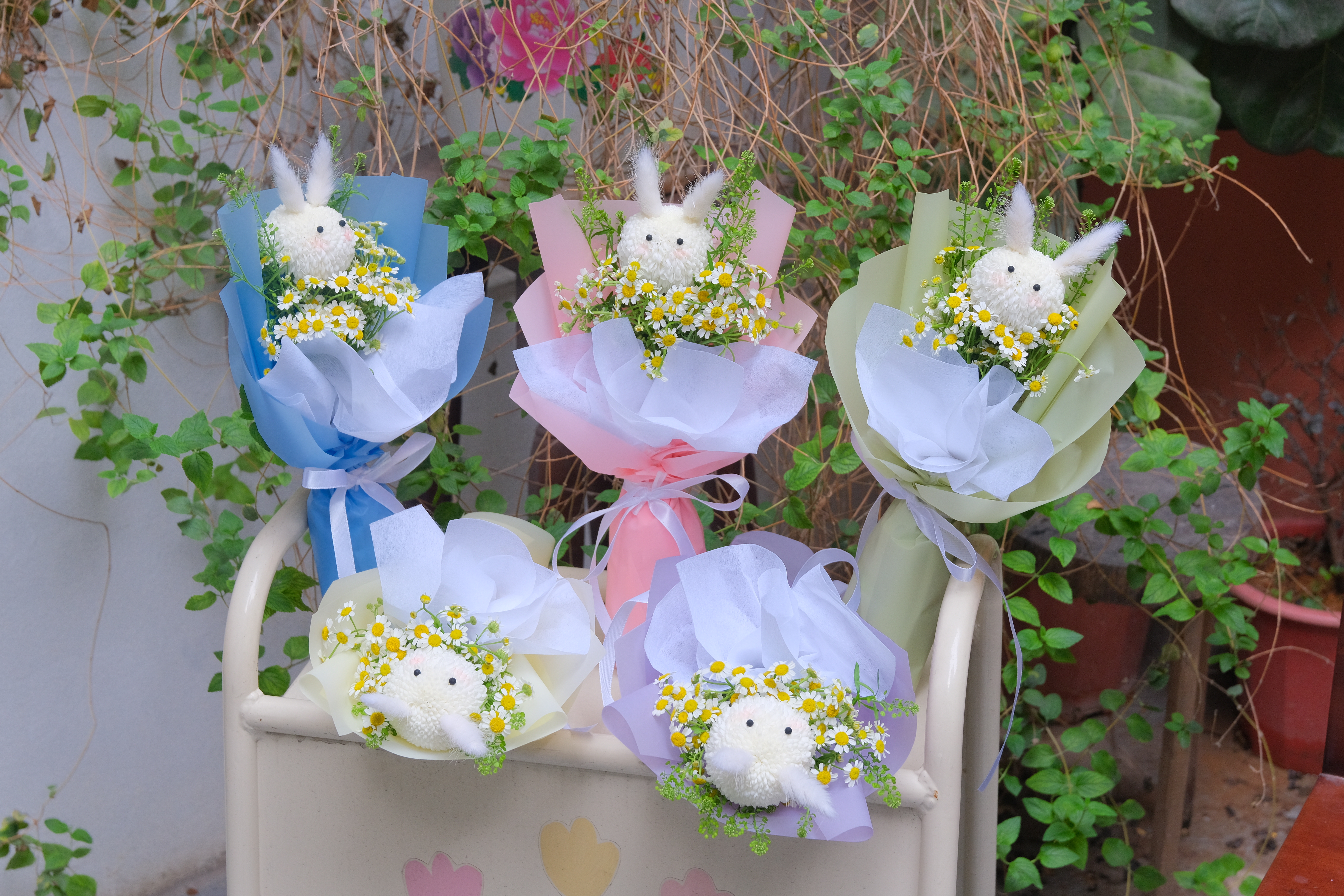 Bó hoa thỏ trắng mix cúc tana mini