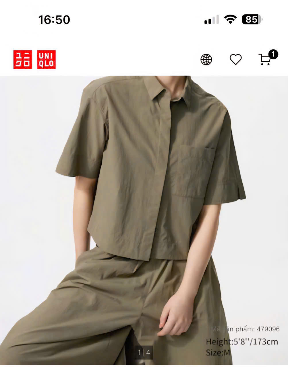 AM173 Sơmi Uni (lê- vê)_thumbnail_5