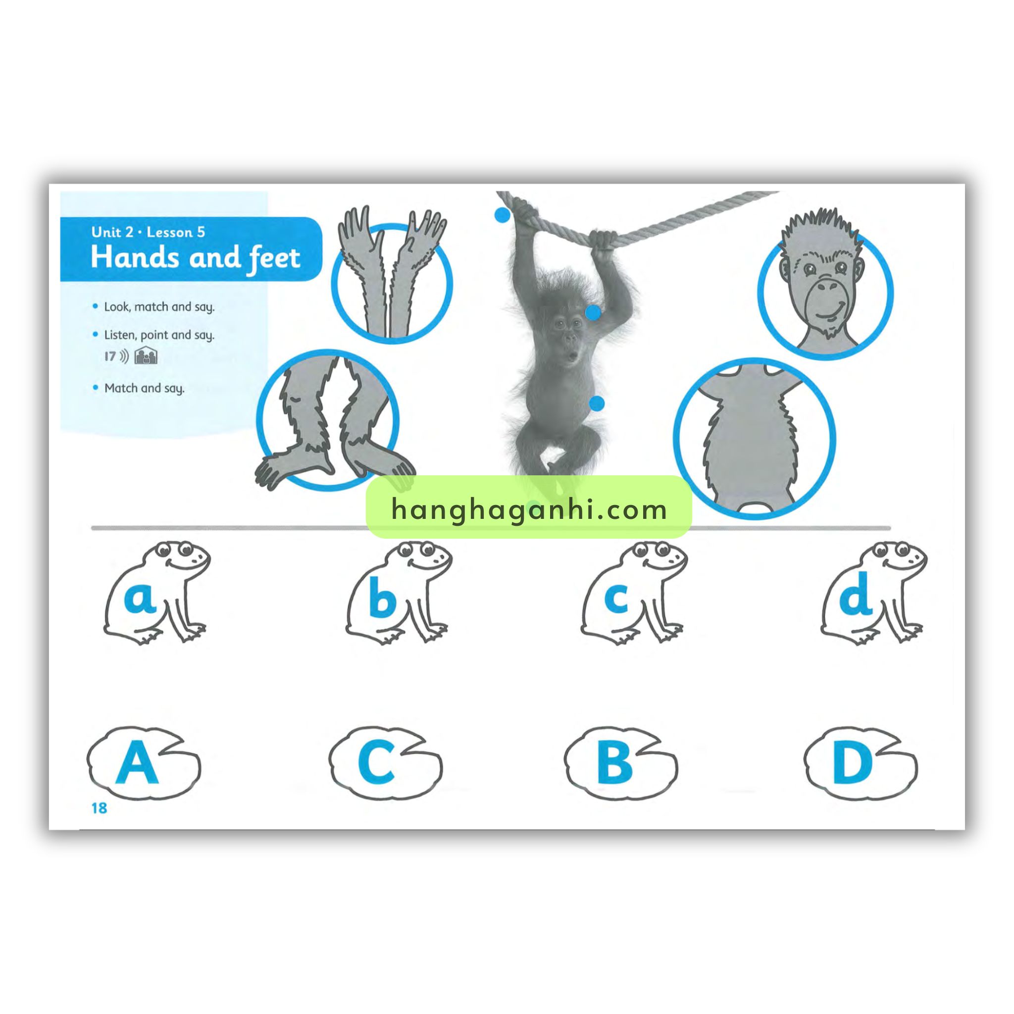 Hide and Seek 1 ( Pupil’s Book – Activity Book )_thumbnail_3