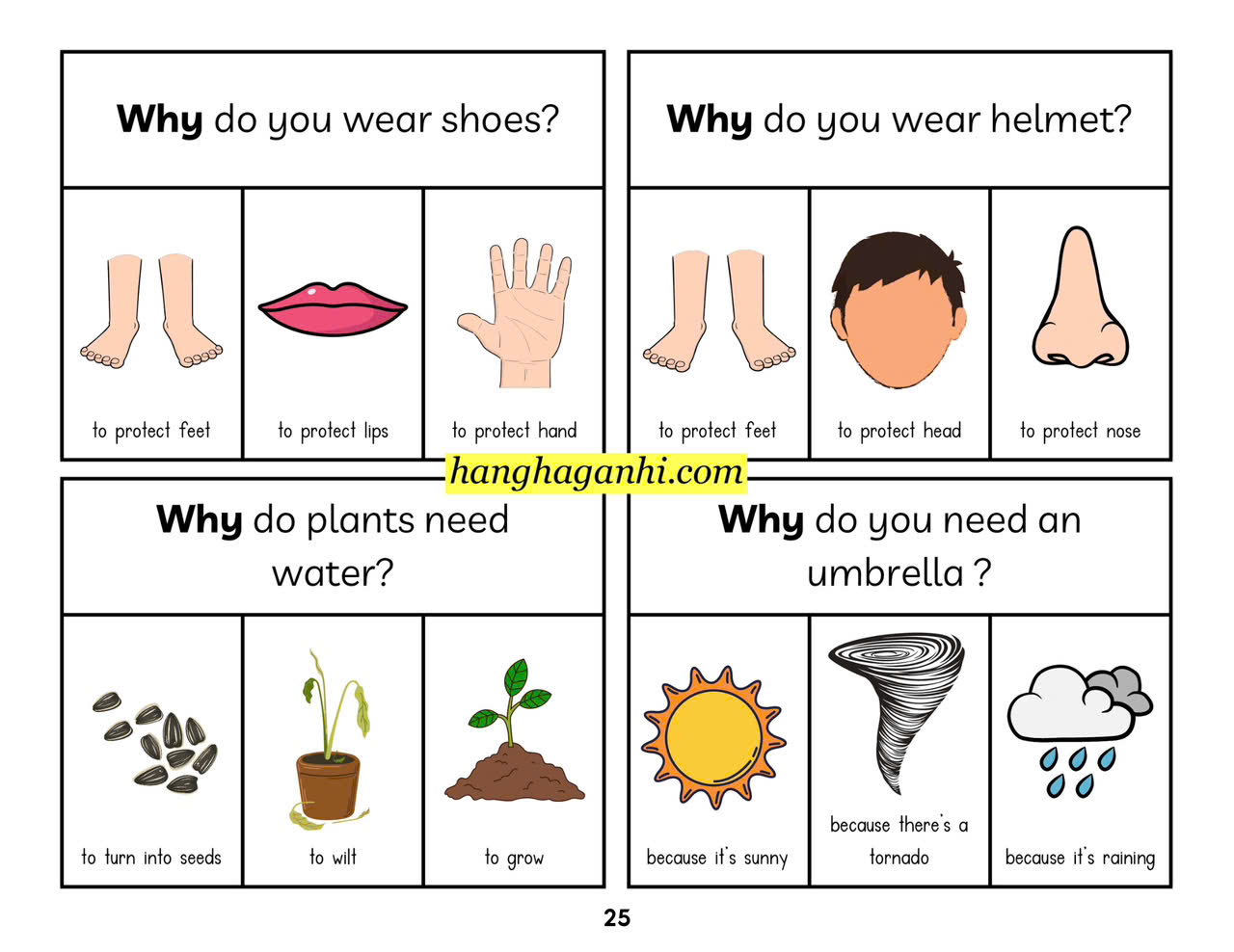 Học liệu WH-Question for Kindergarten viết xóa được_thumbnail_3