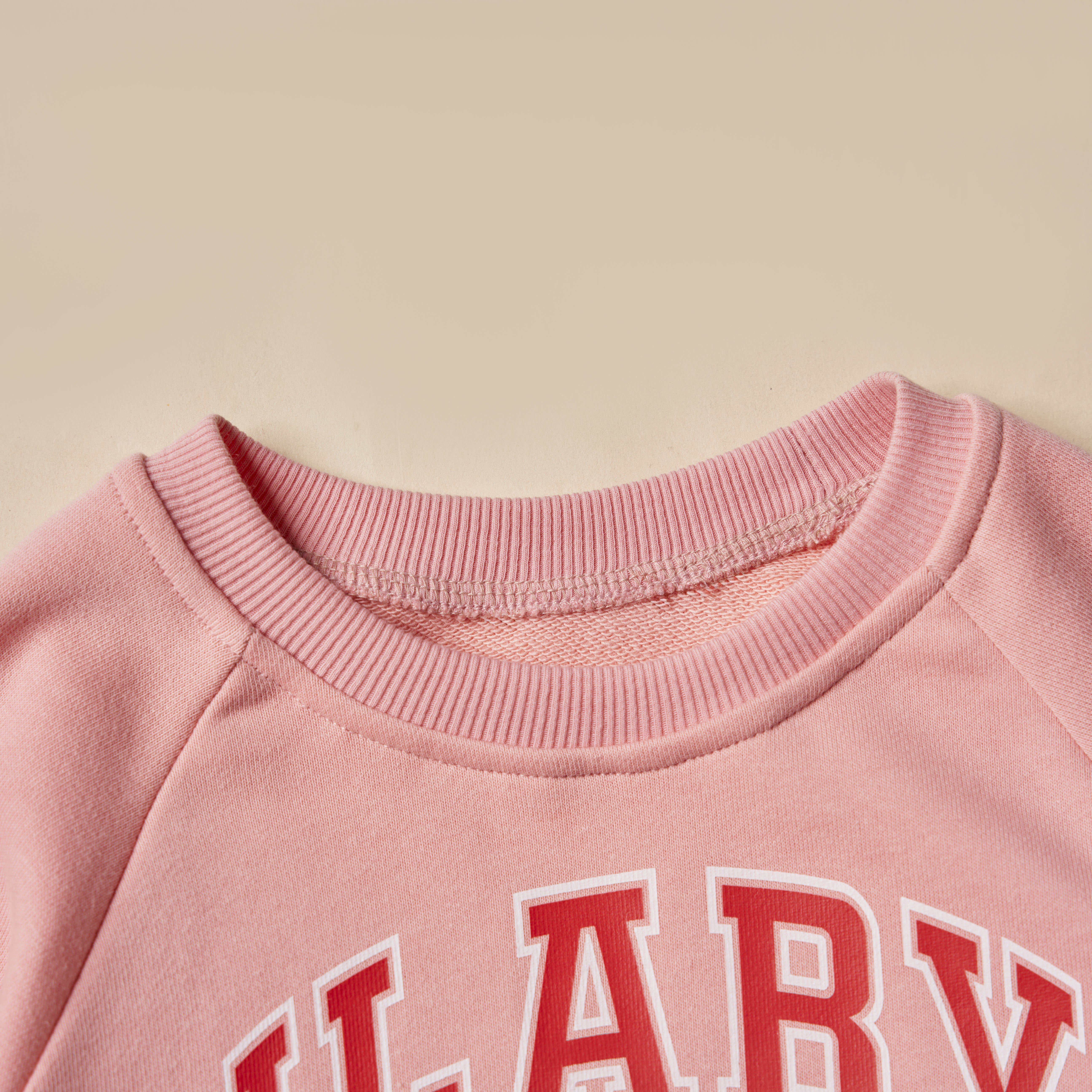 Áo nỉ tay jaglan in hình_thumbnail_1