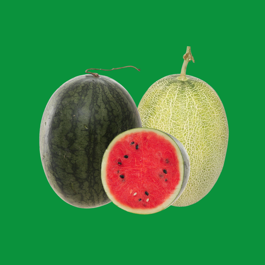 combo dưa hấu dưa lưới
