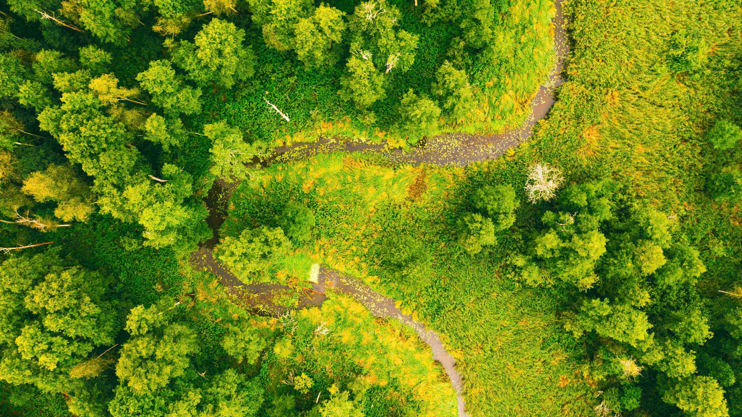 z6691309285548_02c789a1cfbac3a05838cf6ec43715bb