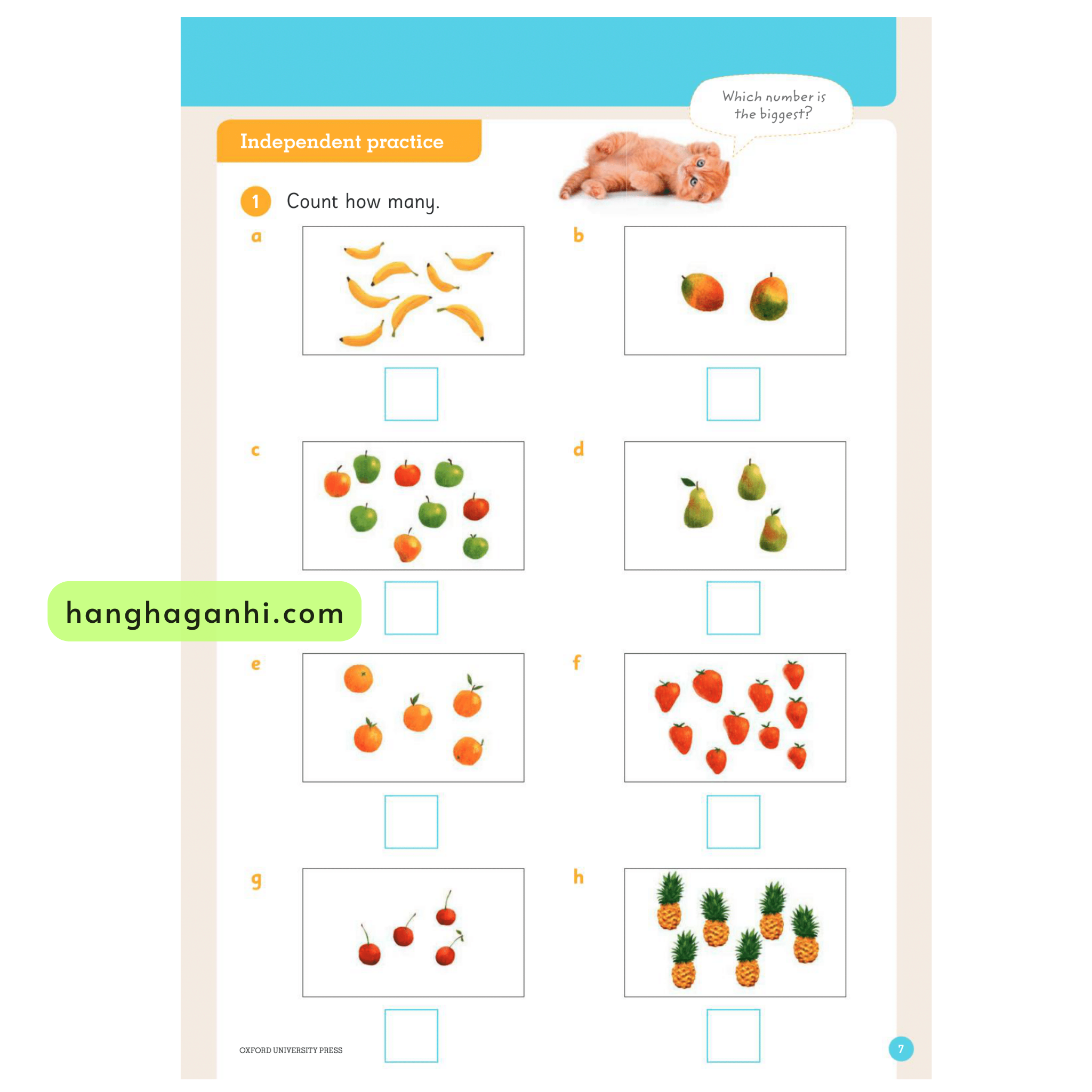 Toán Tiếng Anh Oxford grade K, Oxford Mathematics Primary Years Programe_thumbnail_3