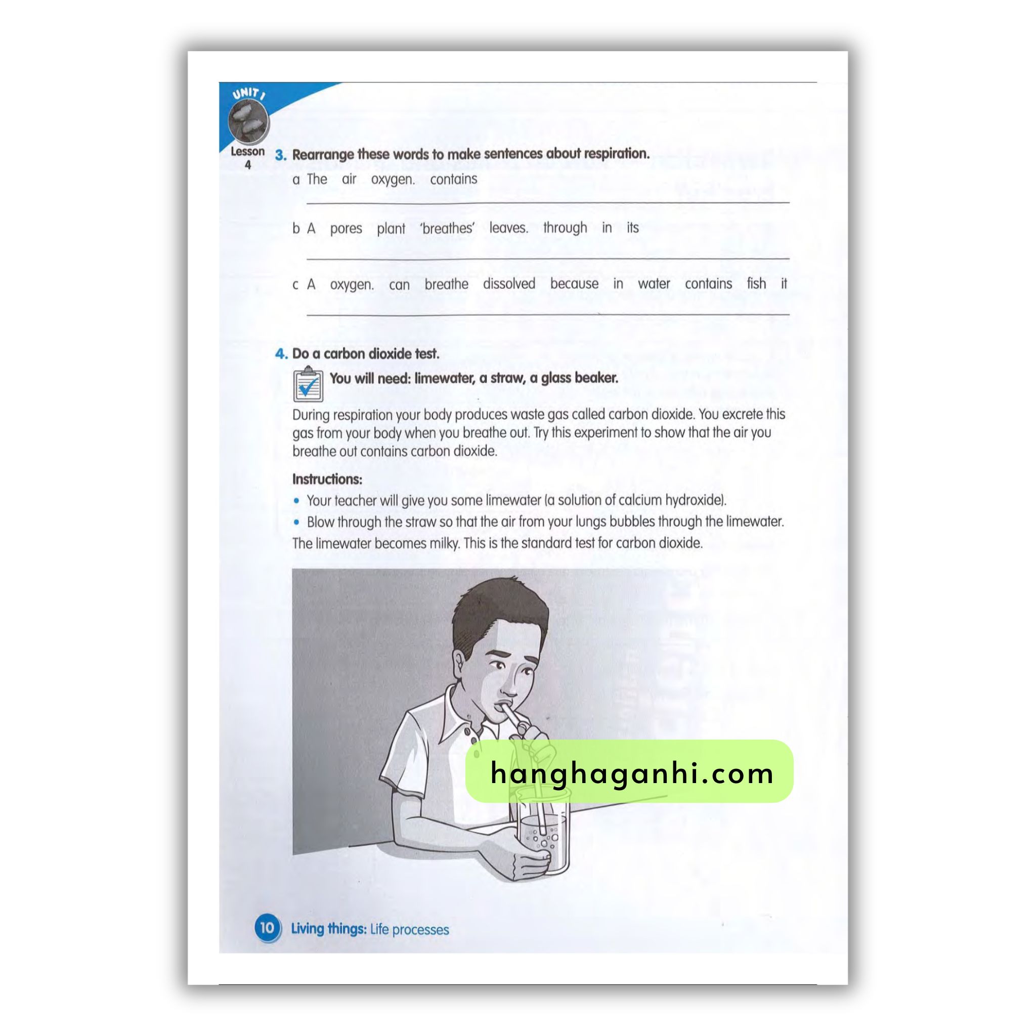 Macmillan Science 4 Workbook_thumbnail_12