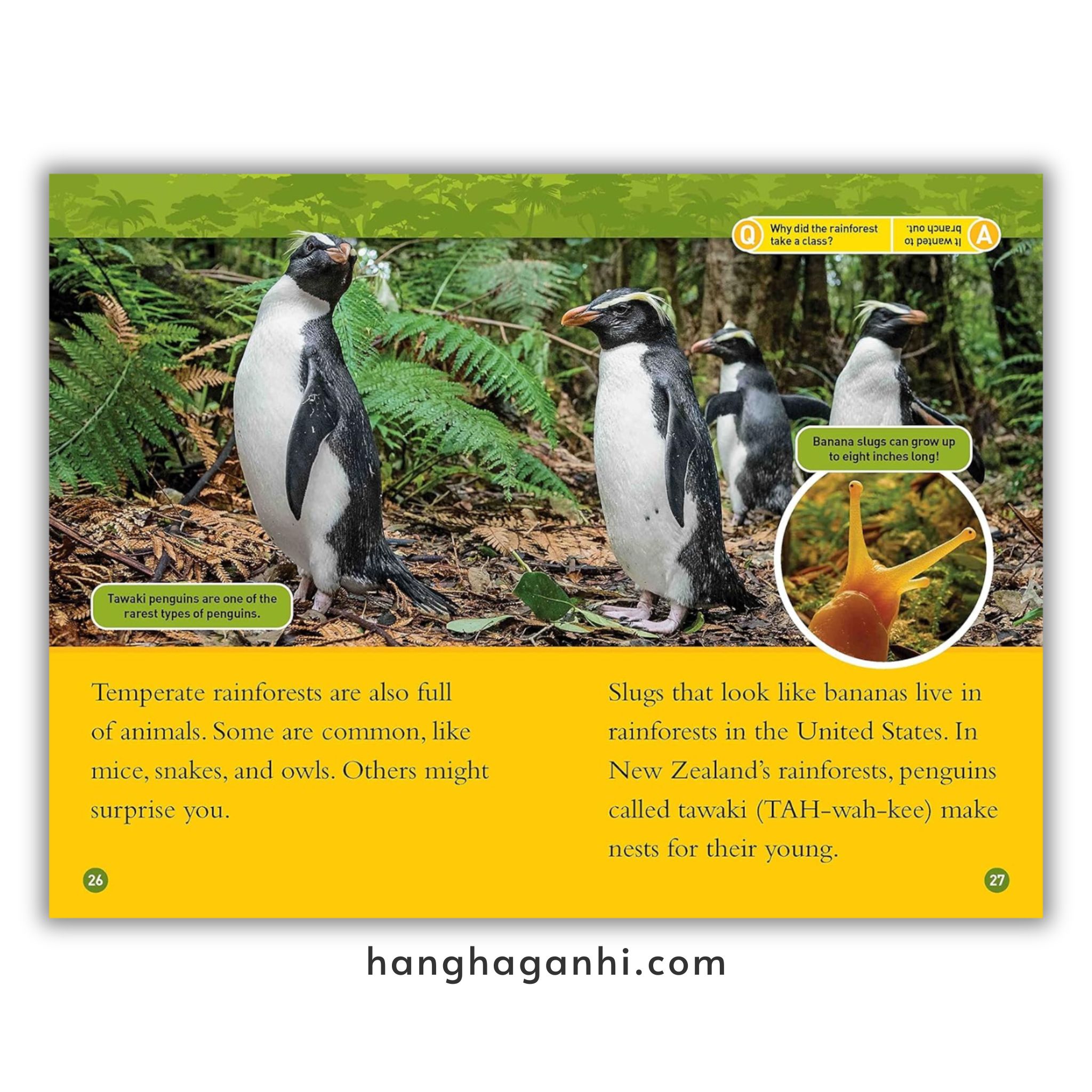 Bộ 41 cuốn National Geographic Kids level 2 - sách Khoa học tiếng Anh nhập khẩu, nguyên seal_thumbnail_7