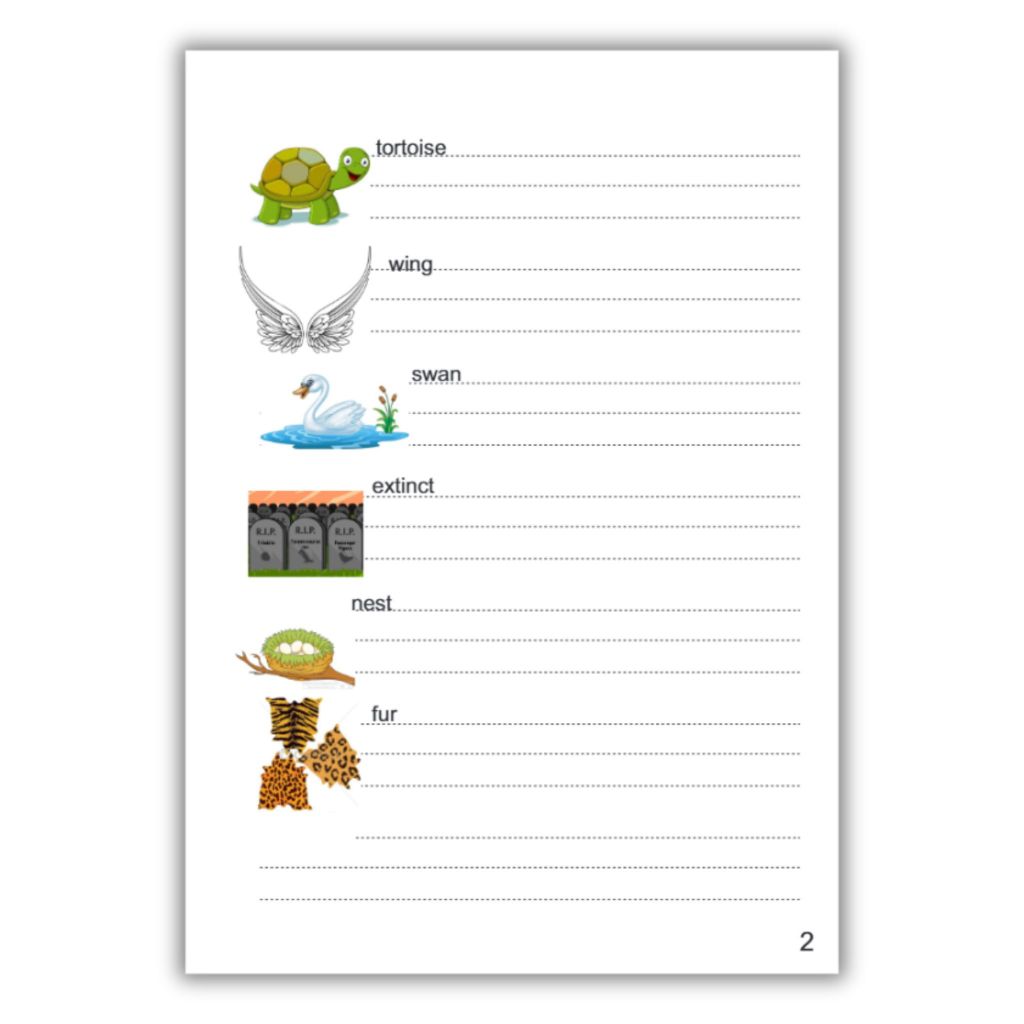 Bộ Luyện Viết 3 Cuốn Cambridge Starters, Movers và Flyers Review_thumbnail_2