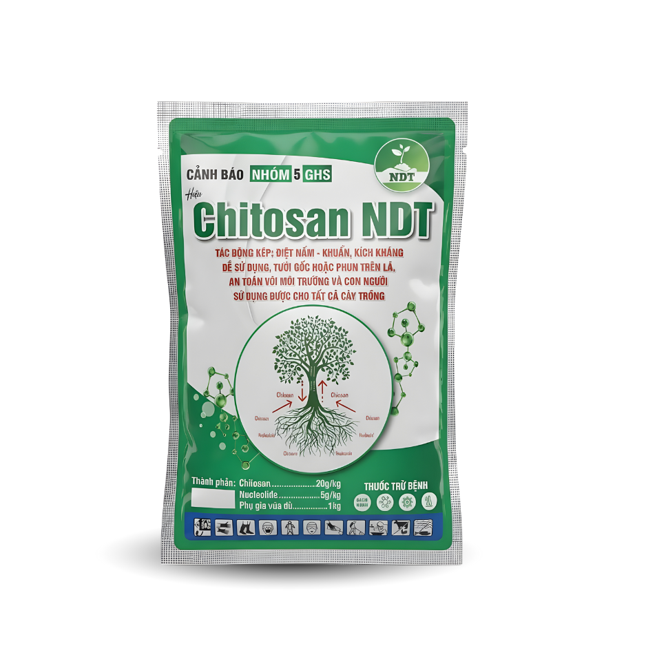 CHITOSAN NDT