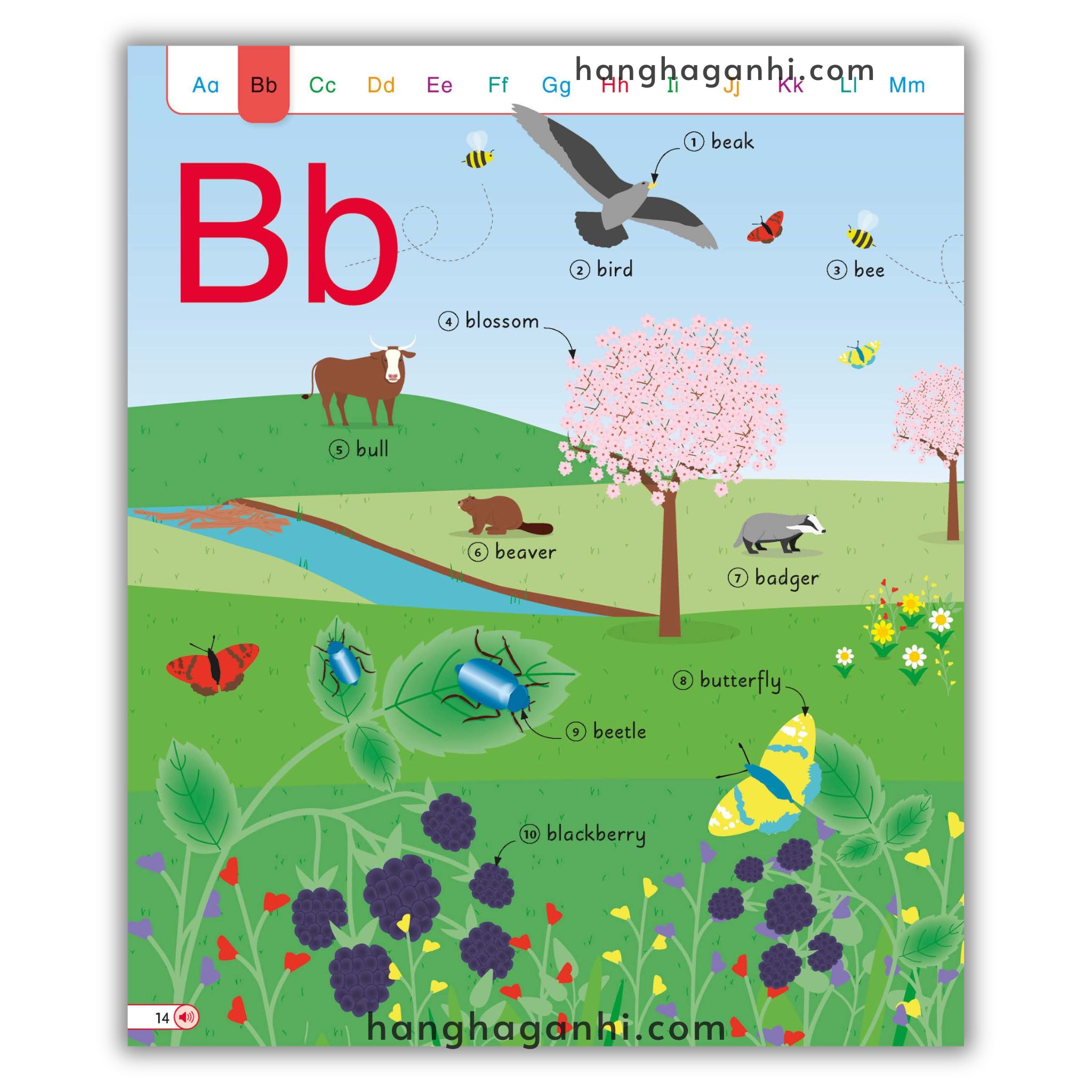 [Sách] English for Everyone Junior English Dictionary_thumbnail_5