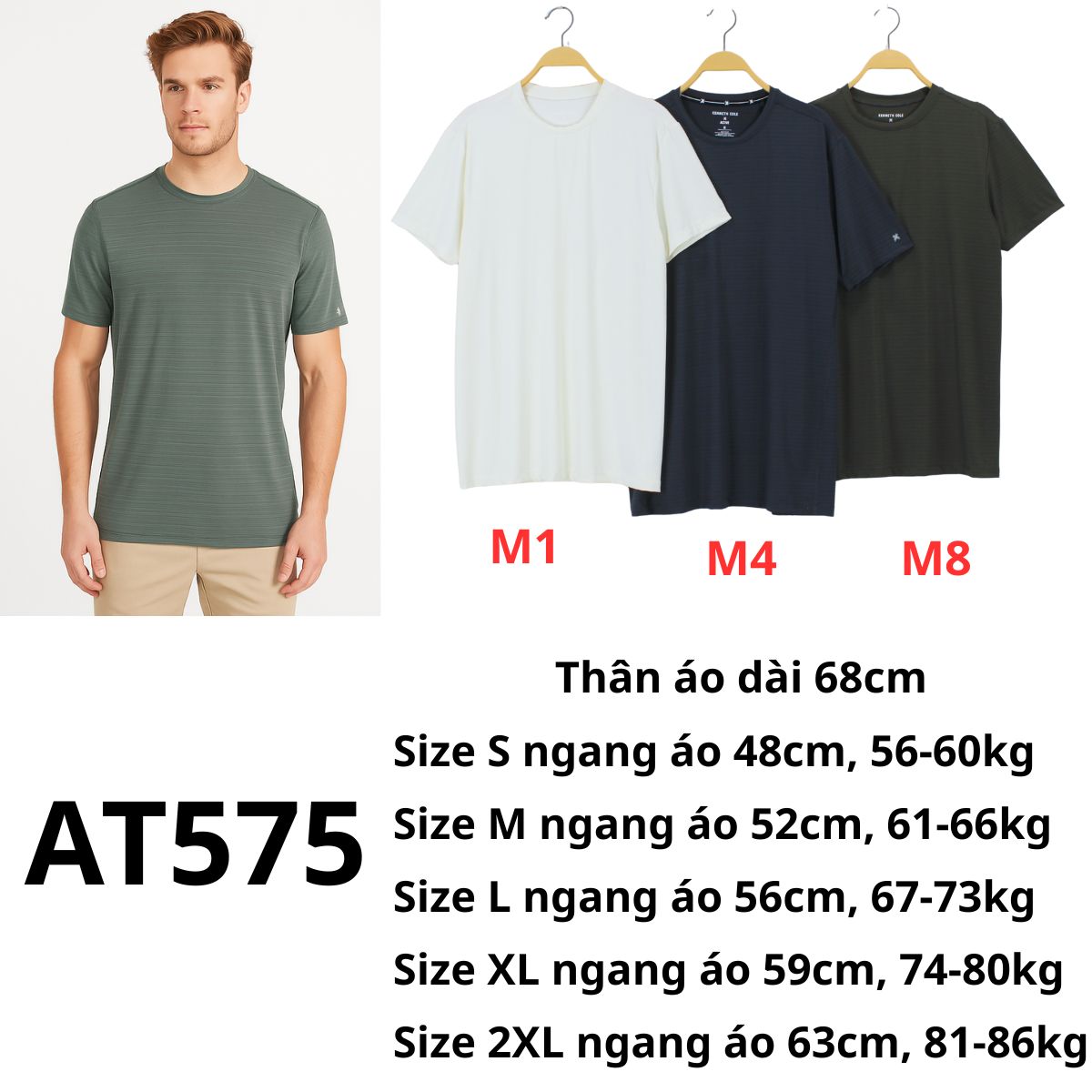 AT575- Áo thun thể thao nam